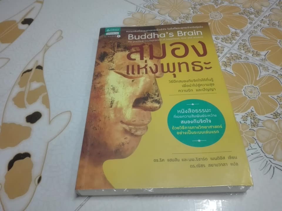 สมองแห่งพุทธะ (BUDDHA'S BRAIN) โดย RICK HANSON - ณัชร สยามวาลา แปล **สินค้าหมด**