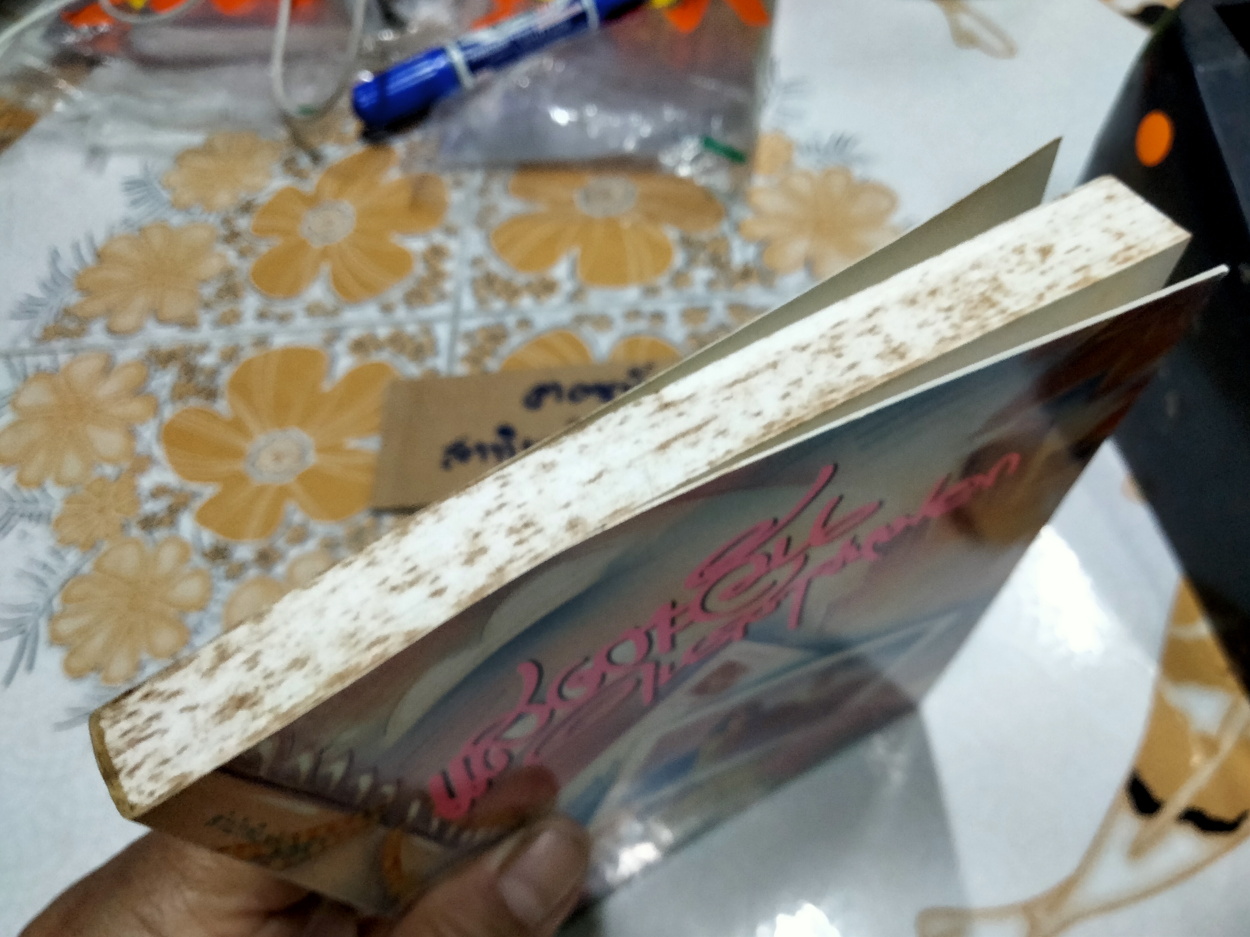 แสงตะวันในสายหมอก (รวมเรื่องสั้น) - ปิยะพรศักดิ์เกษม