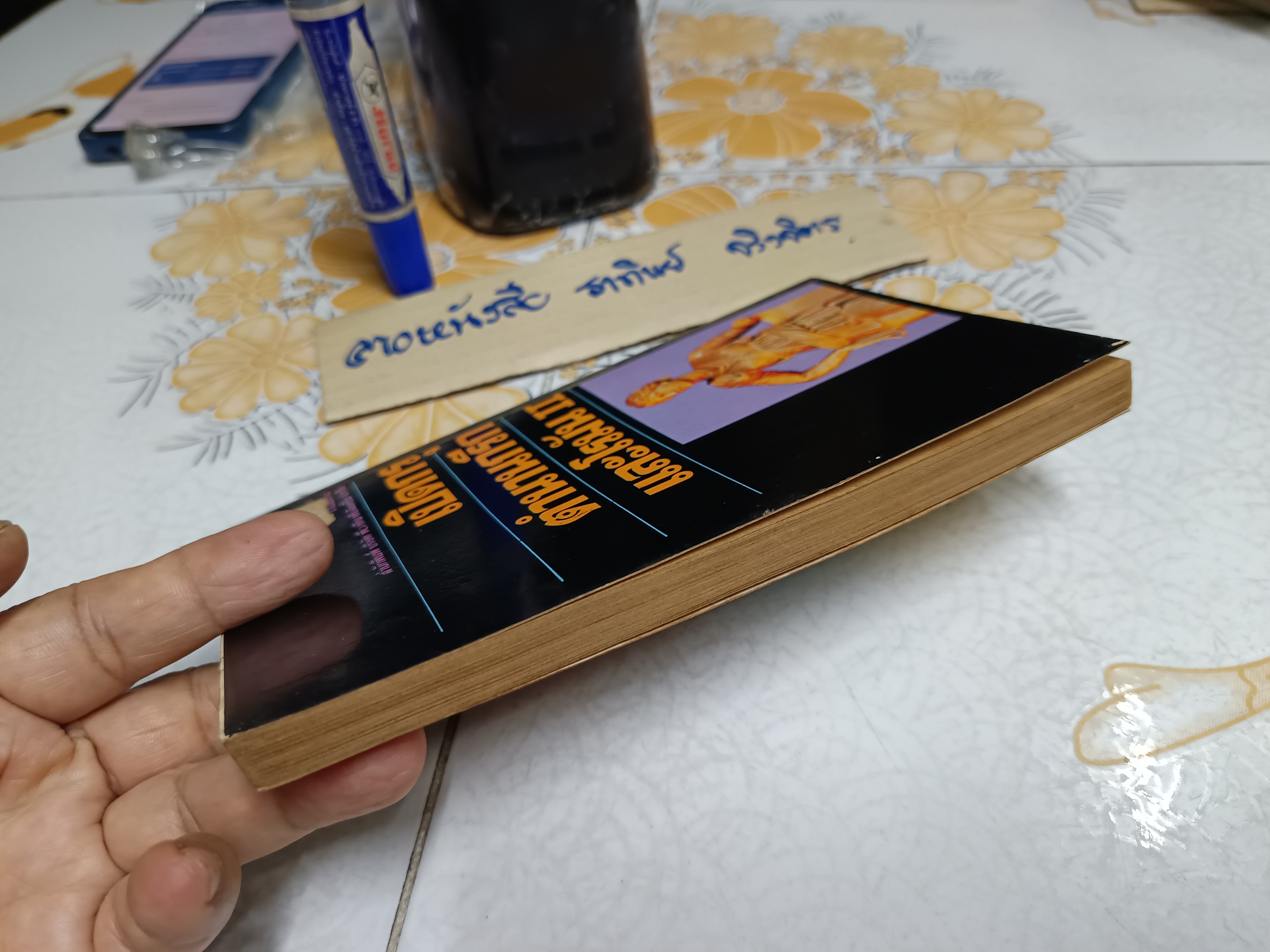 เปิดกรุตำนานกรีกและโรมัน II ผลงานของทีมงานนักเขียน ต่วย'ตูนพิเศษ พิมพ์ครั้งที่ 2/2531 **สินค้าหมด**