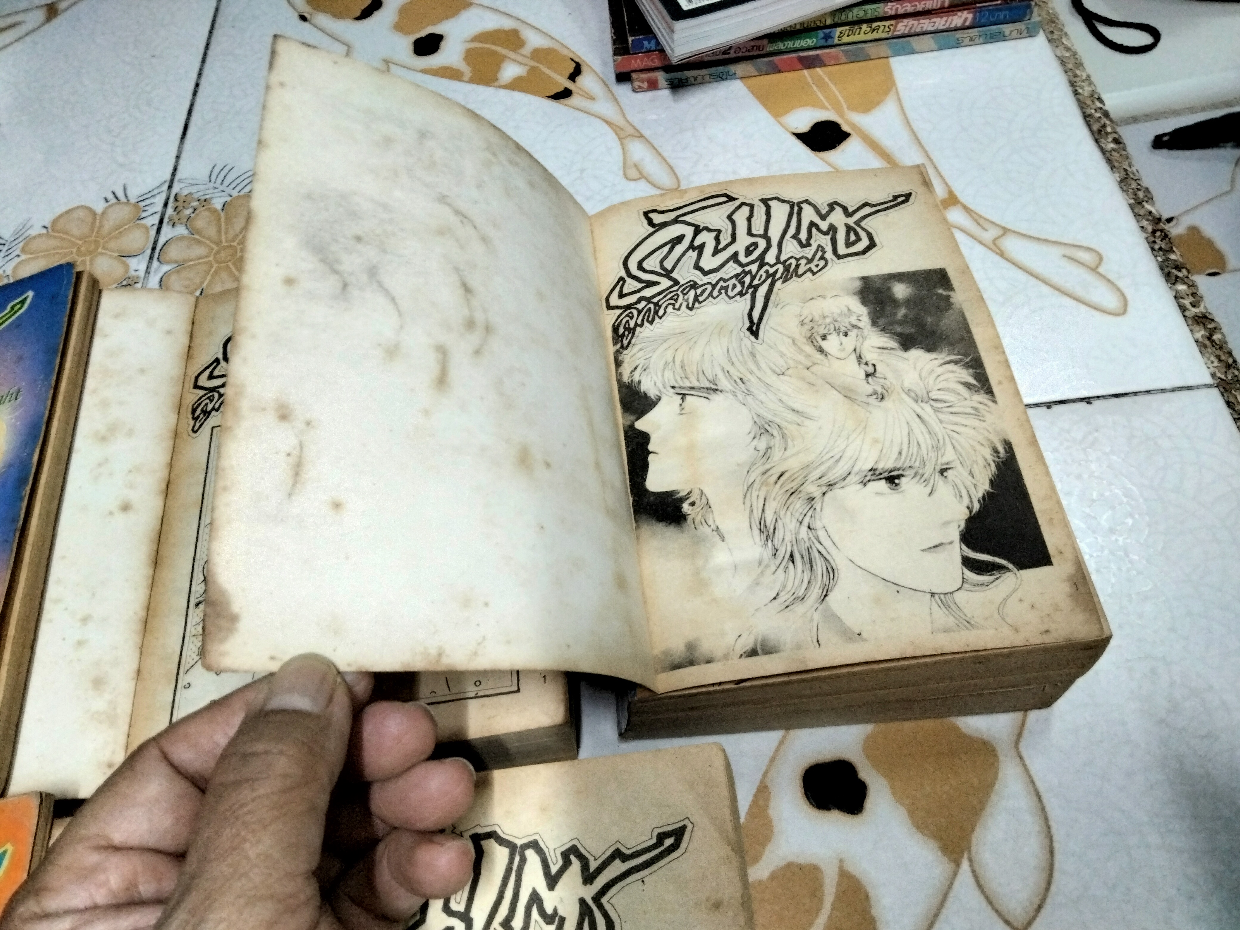 รันเซ ลูกสาวซาตาน ภาค 1 (5 เล่มจบ) ผลงานเก่าหายากชอง IKEINO KOI (ตำหนิเล่ม 3)