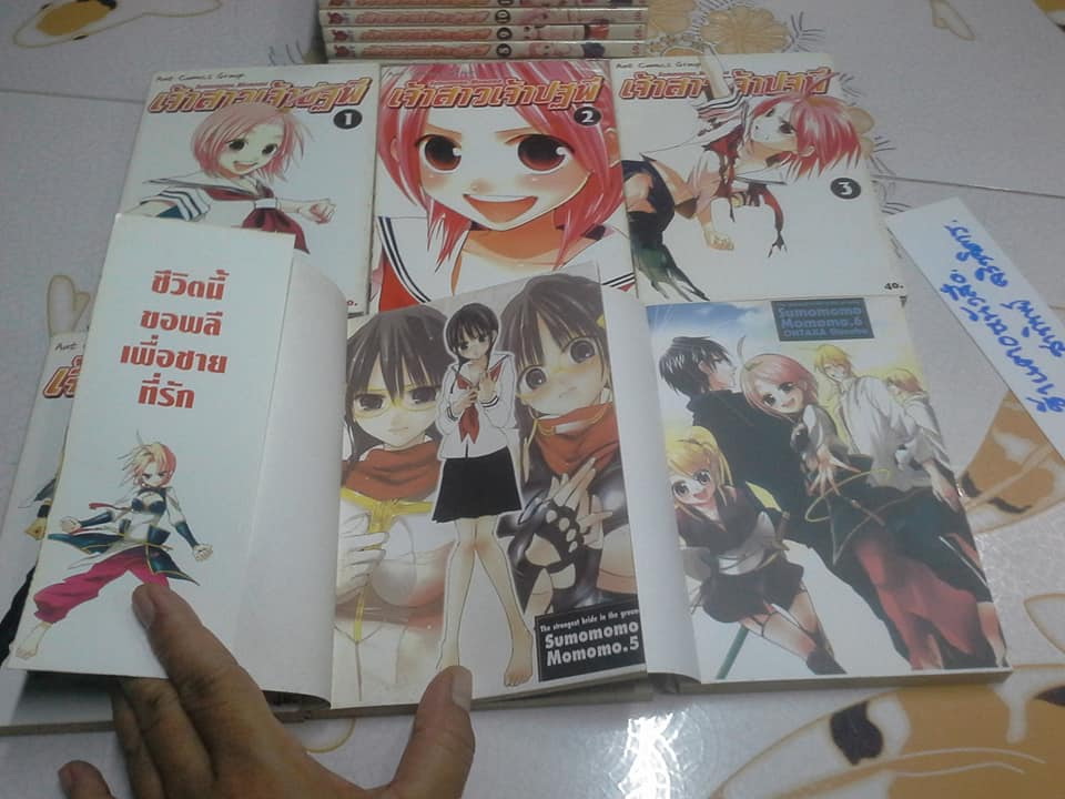 เจ้าสาวเจ้าปฐพี (12 ครบชุด) ANT COMICS GROUP **สินค้าหมด**