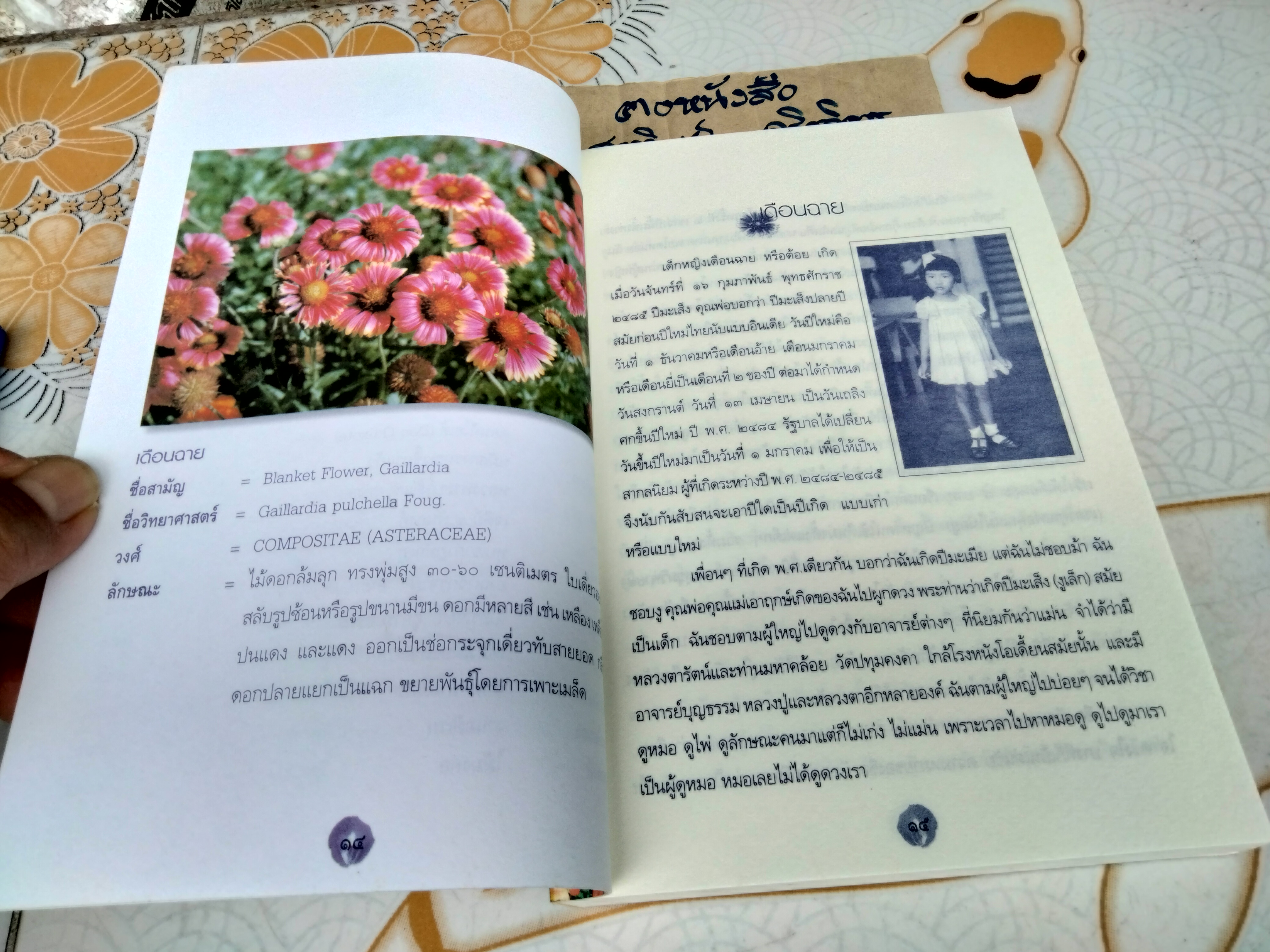 ดอกไม้ในสวน โดย เดือนฉาย คอมันตร์