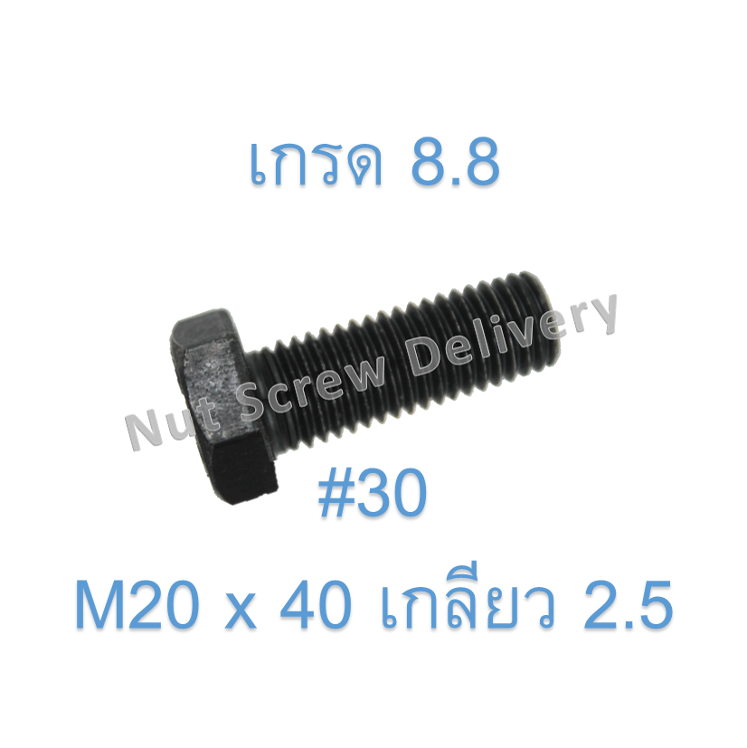 สกรูหัวเหลี่ยมมิลดำ M20 x 40 (เกลียว 2.5) ขอบ #30 เกรด 8.8