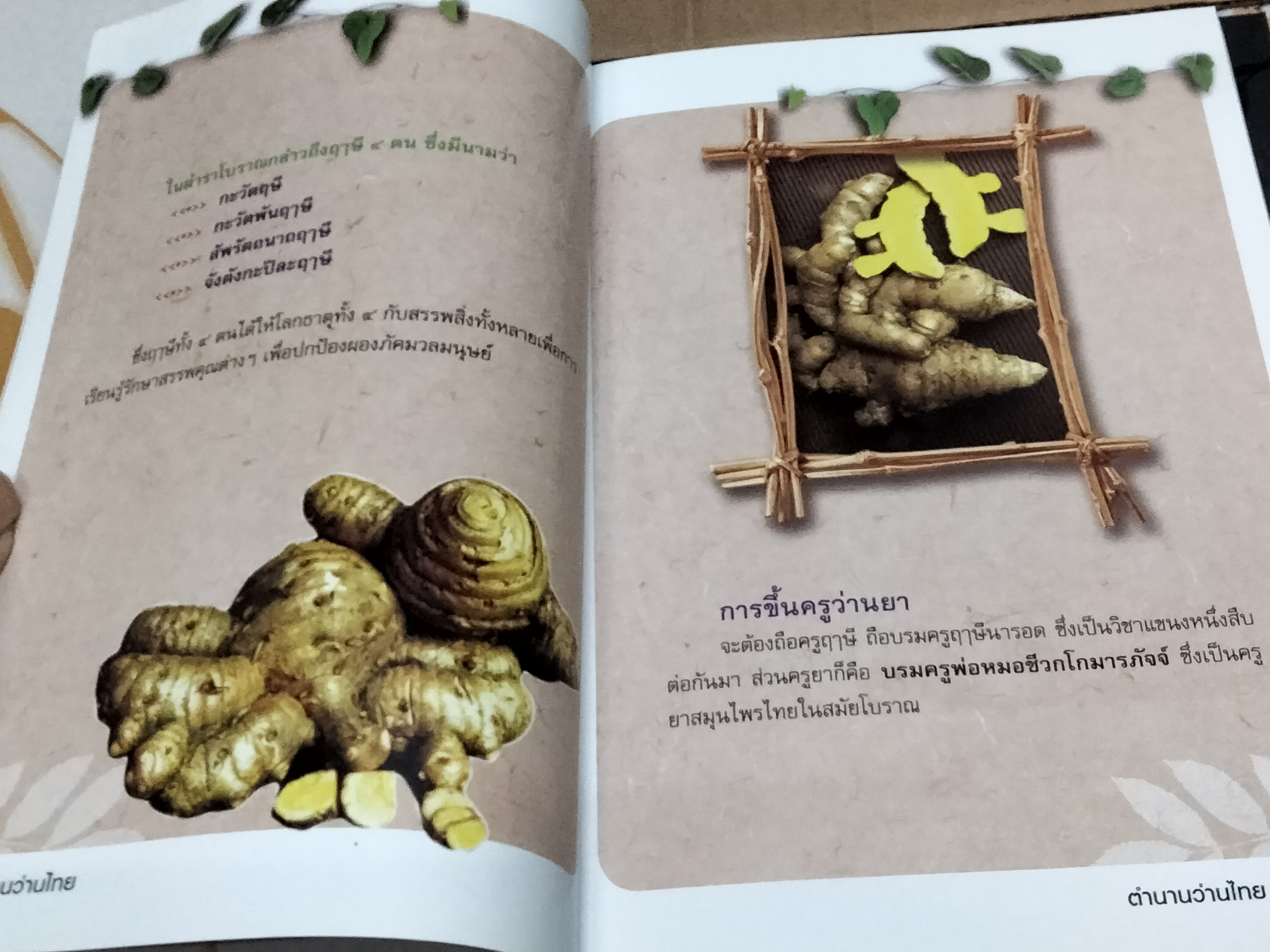 หนังสือ ตำนานว่านไทย โดย ชมรมว่านมหาเศรษฐี