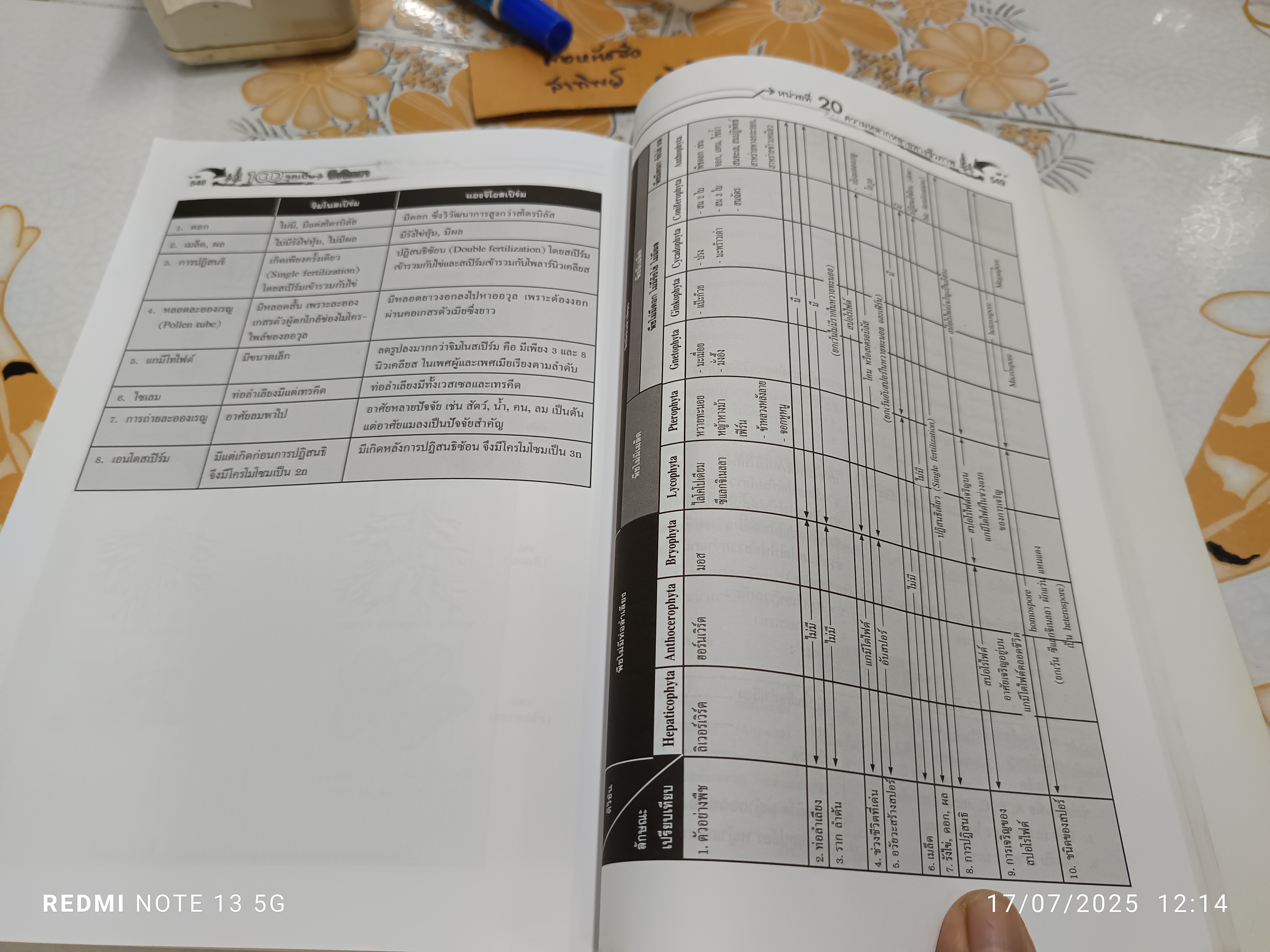 100 จุดเน้น ชีววิทยา ม.4-5-6 ดร.สมาน แก้วไวยุทธ สำนักพิมพ์ : บริษัท ไฮเอ็ดพับลิชชิ่ง