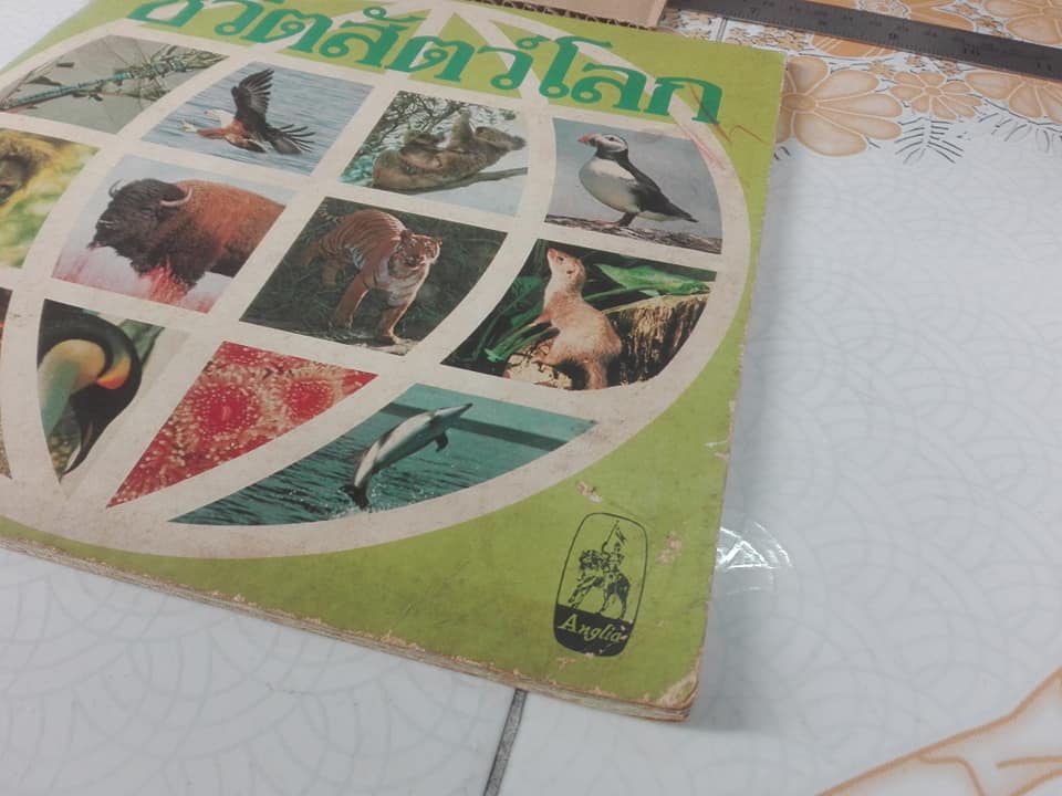 สมุดสะสมสติกเกอร์ ชีวิตสัตว์โลก (แปะครบ 240 รูป) ** สินค้าหมด**