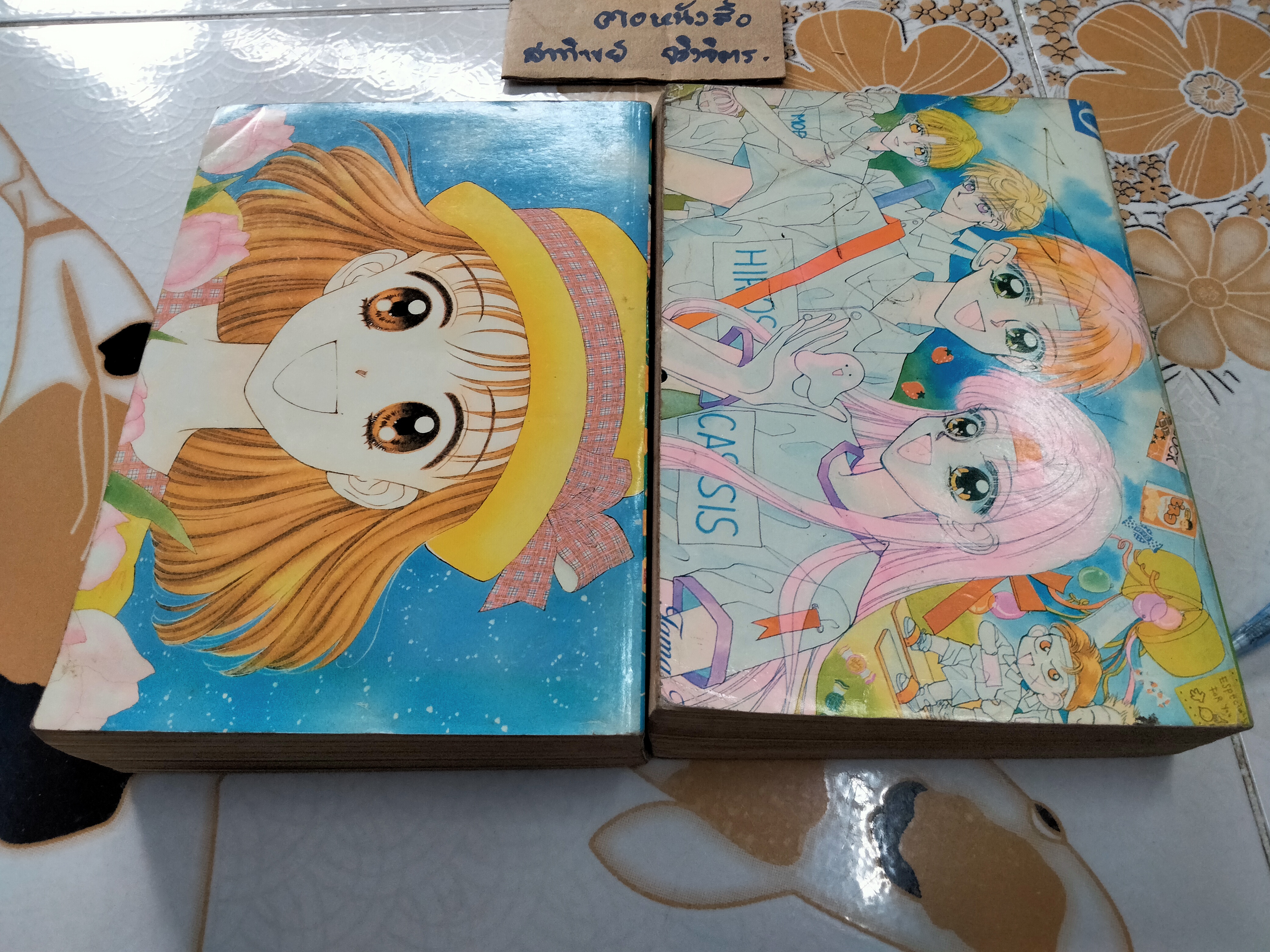 รักเล็กๆ จากใจสาวน้อย (2 เล่มจบ) สนพ.หมึกจีน **สินค้าหมด**