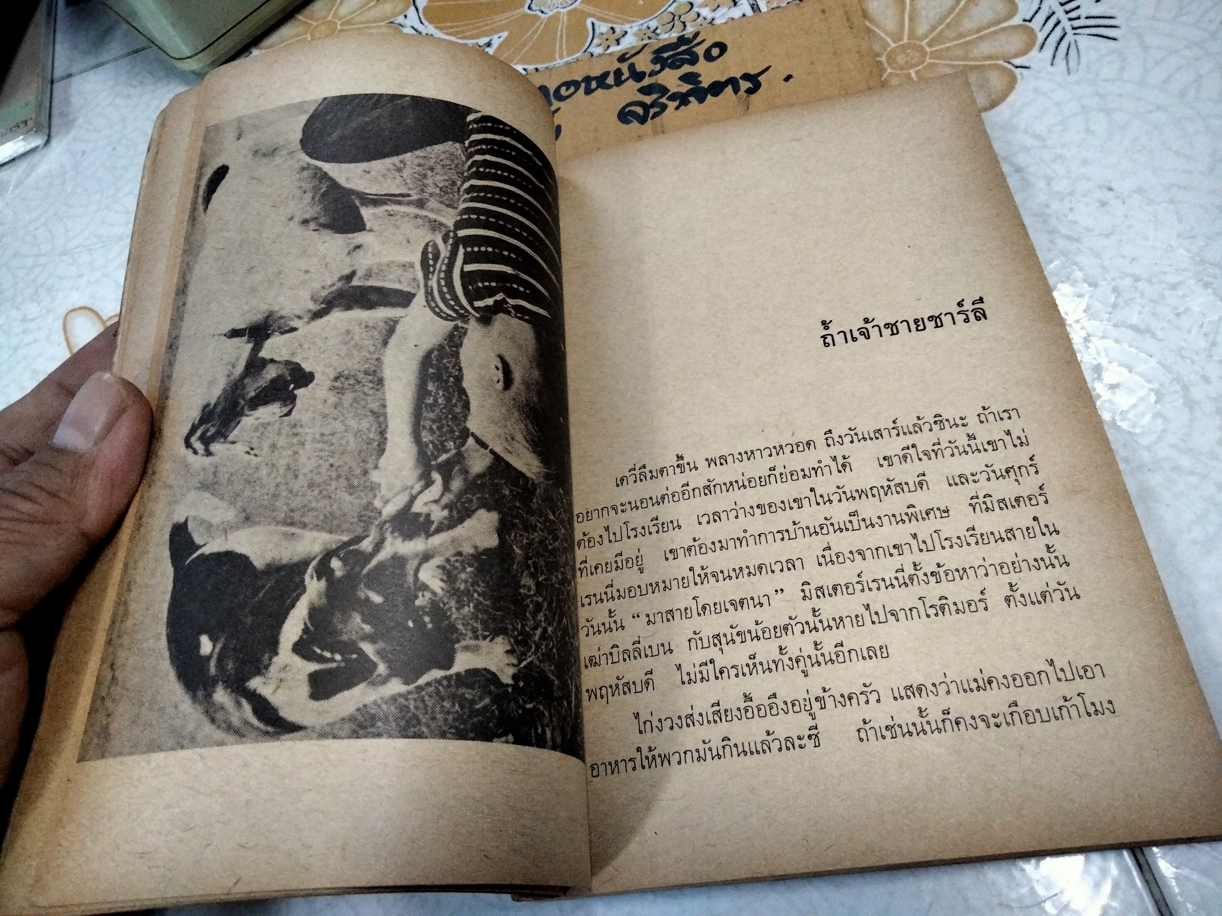 เจ้าด่าง - หนังสืออ่านสำหรับเยาวชนตามโครงการหนังสือเด็กของกองบรรณาธิการชัยพฤกษ์ ชุดที่ 6 อันดับ 1 พ.ศ 2520