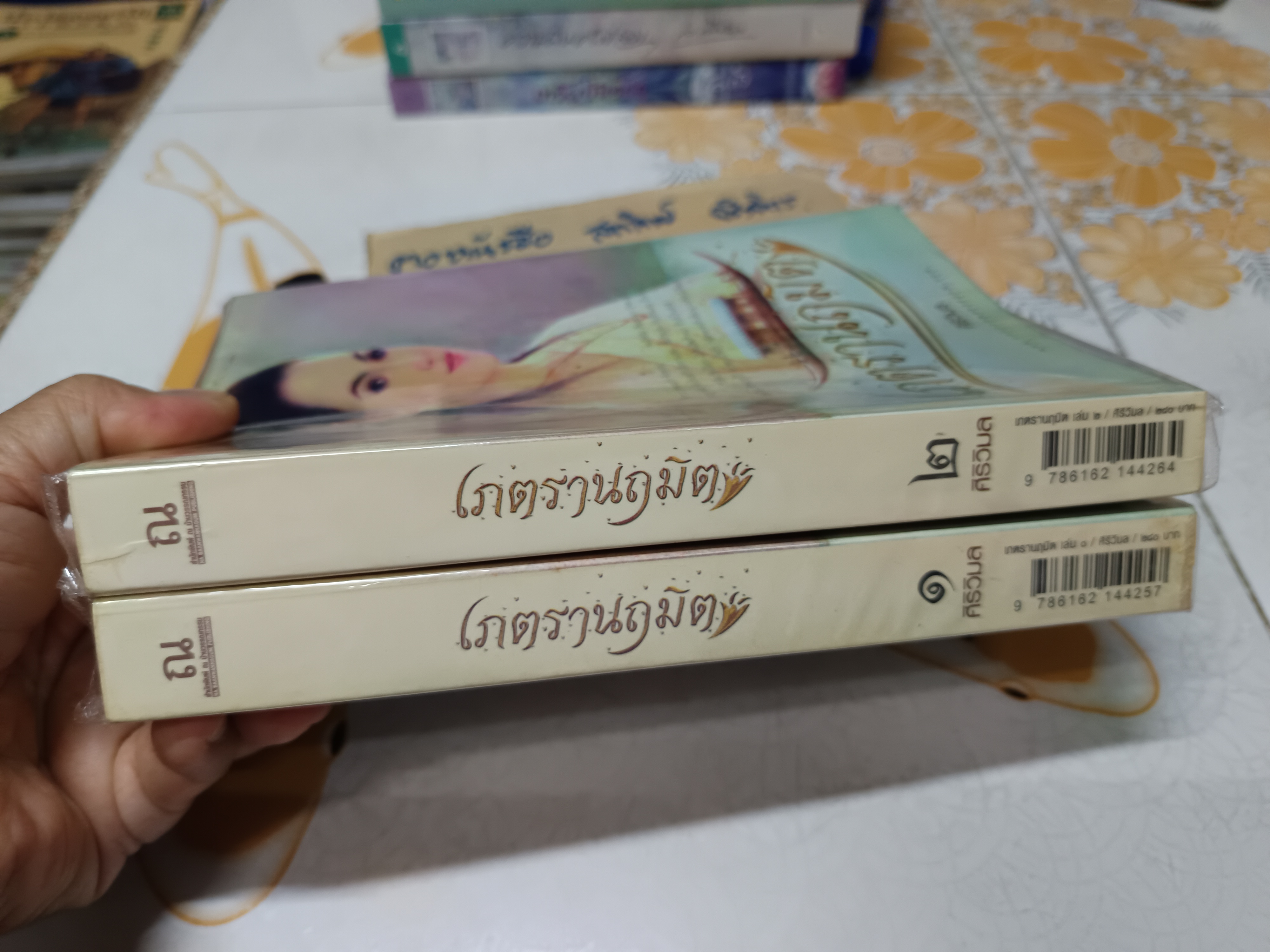 เภตรานฤมิต (2 เล่มจบ) - ศิริวิมล