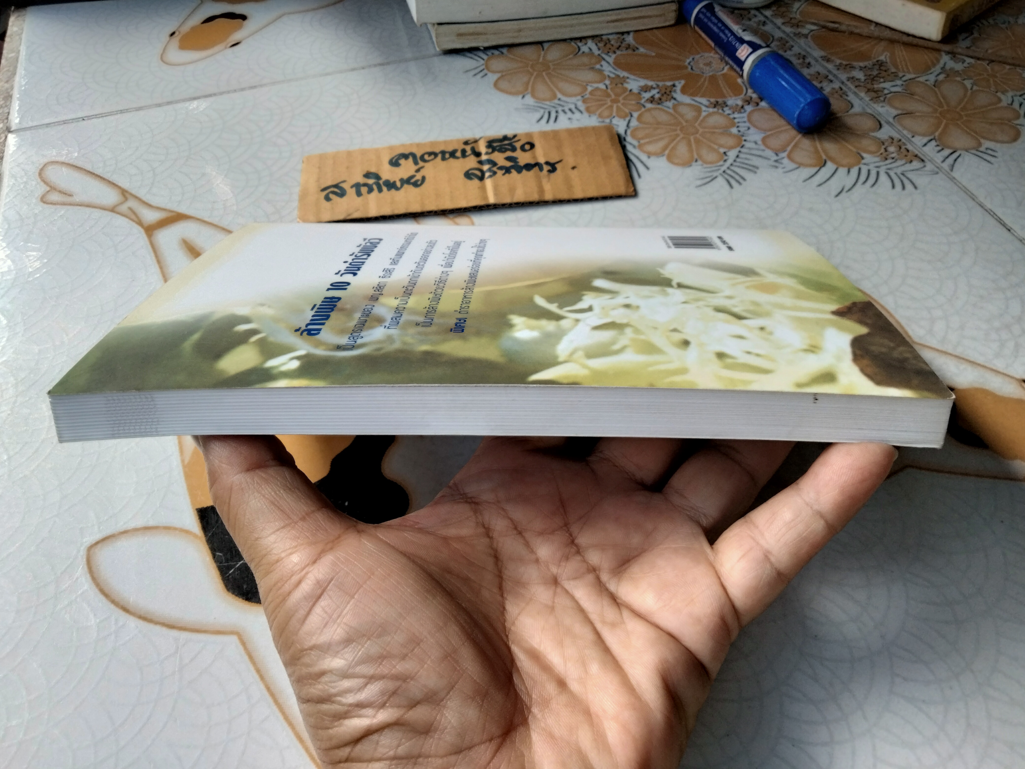 ล้างพิษ 10 วัน ตำรับบัลวี ผู้เขียน พญ. ลลิตา ธีระสิริ **สินค้าหมด**