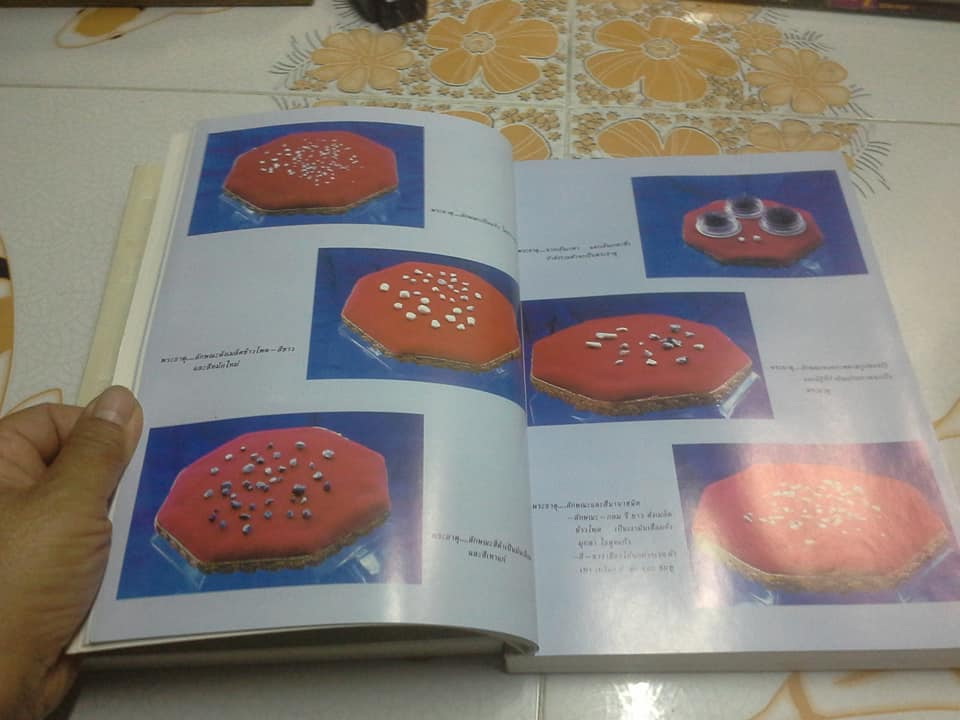 หนังสือ กุลเชฏฐาภิวาท (เล่มละ) **สินค้าหมด**