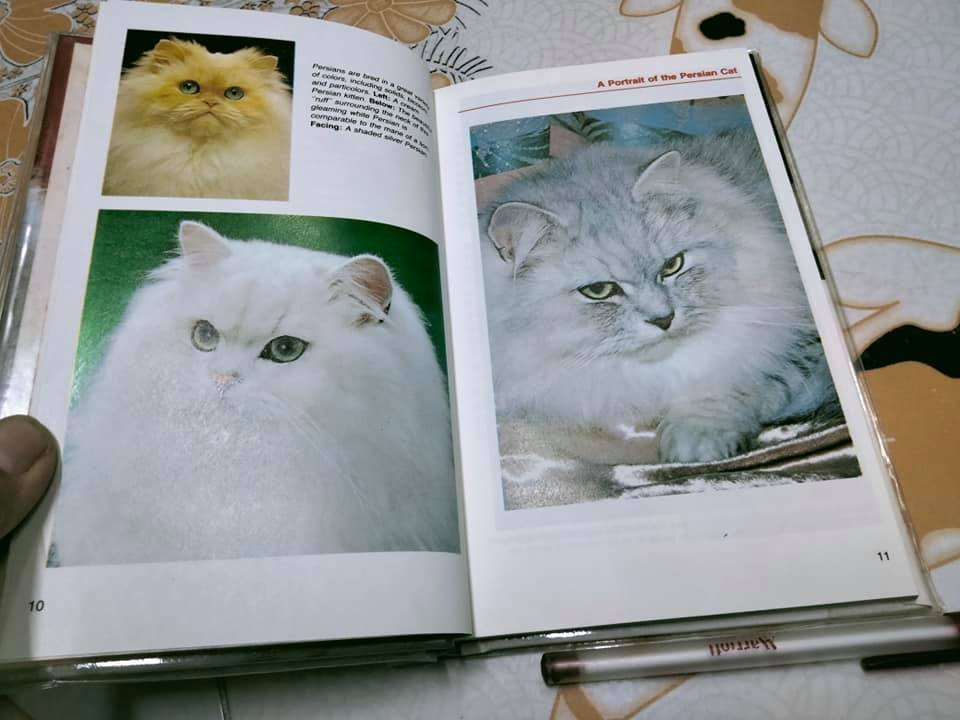 หนังสือ PERSIAN CATS BY EDWARD E.ESARDE **สินค้าหมด**