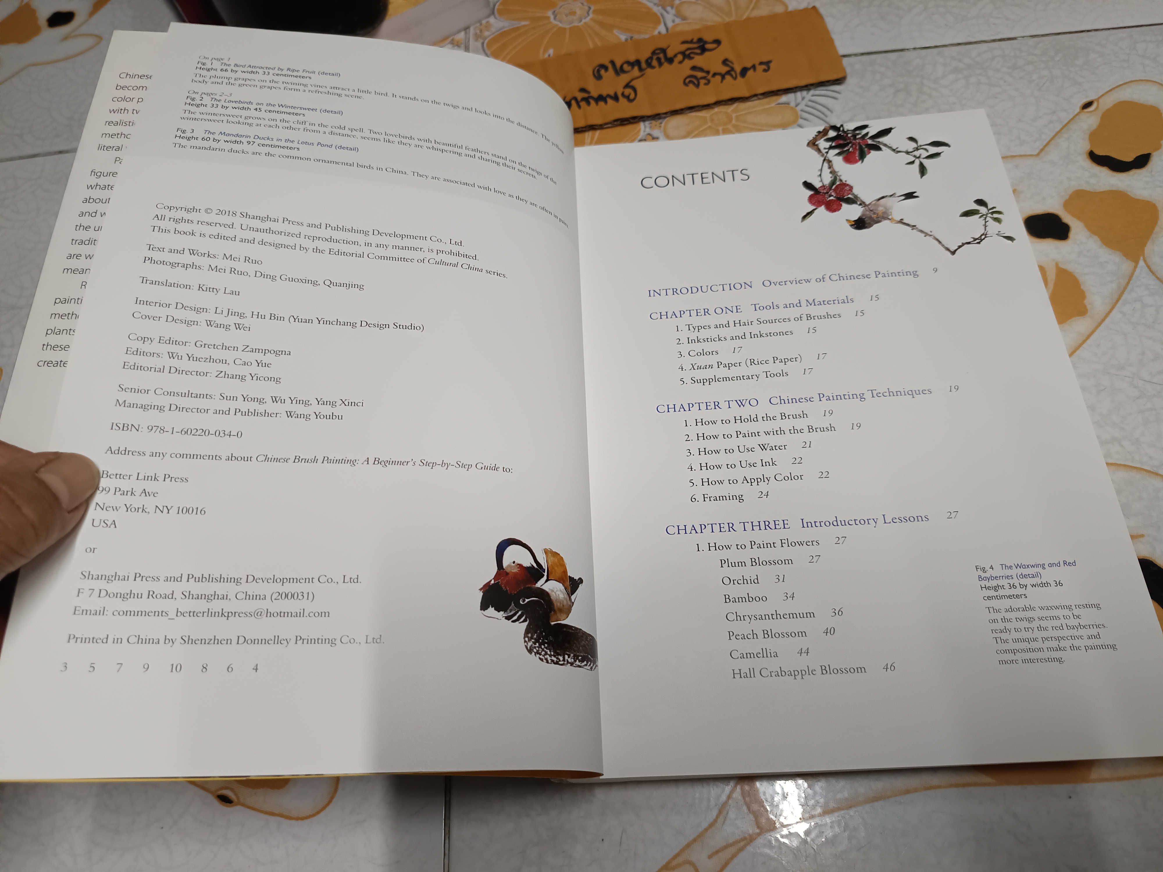 Chinese Brush Painting : A Beginner's Step-by-Step Guide by Mei Ruo