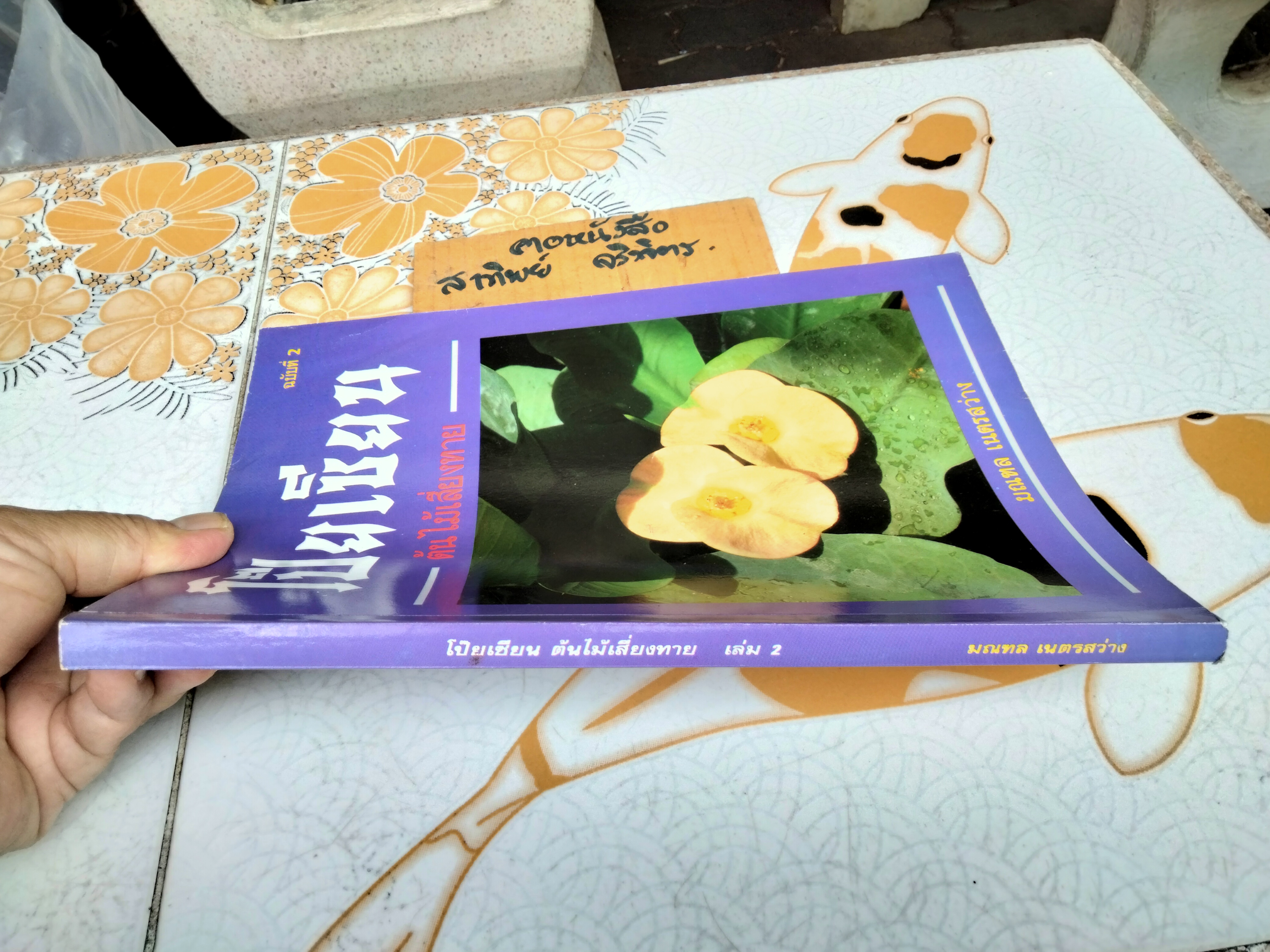 โป๊ยเซียน ต้นไม้เสี่ยงทาย เล่ม 2 โดย มณฑล เนตรสว่าง พิมพ์ปี พ.ศ 2537