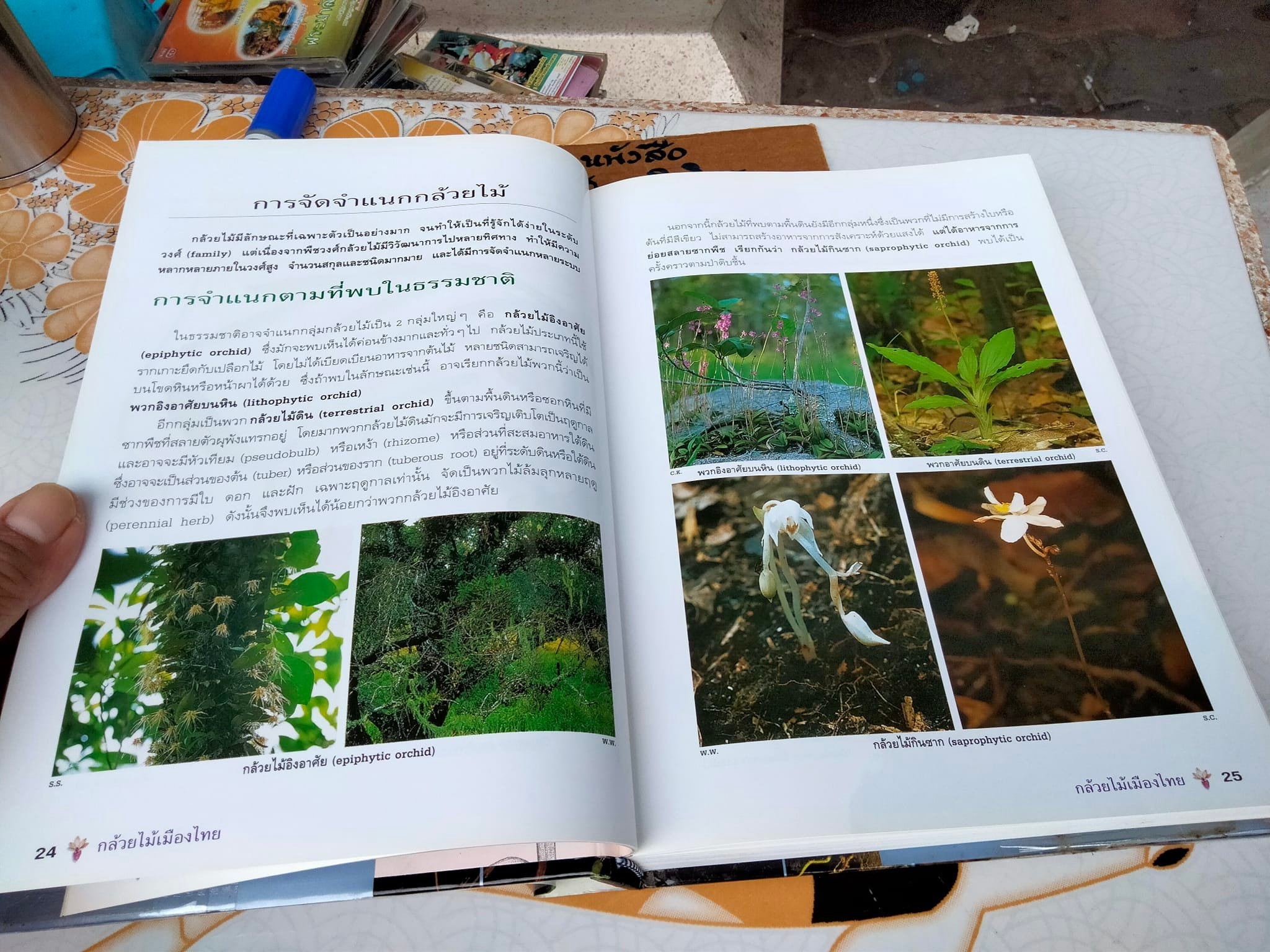 กล้วยไม้เมืองไทย - รศ. ดร.อบฉันท์ ไทยทอง **สินค้าหมด**