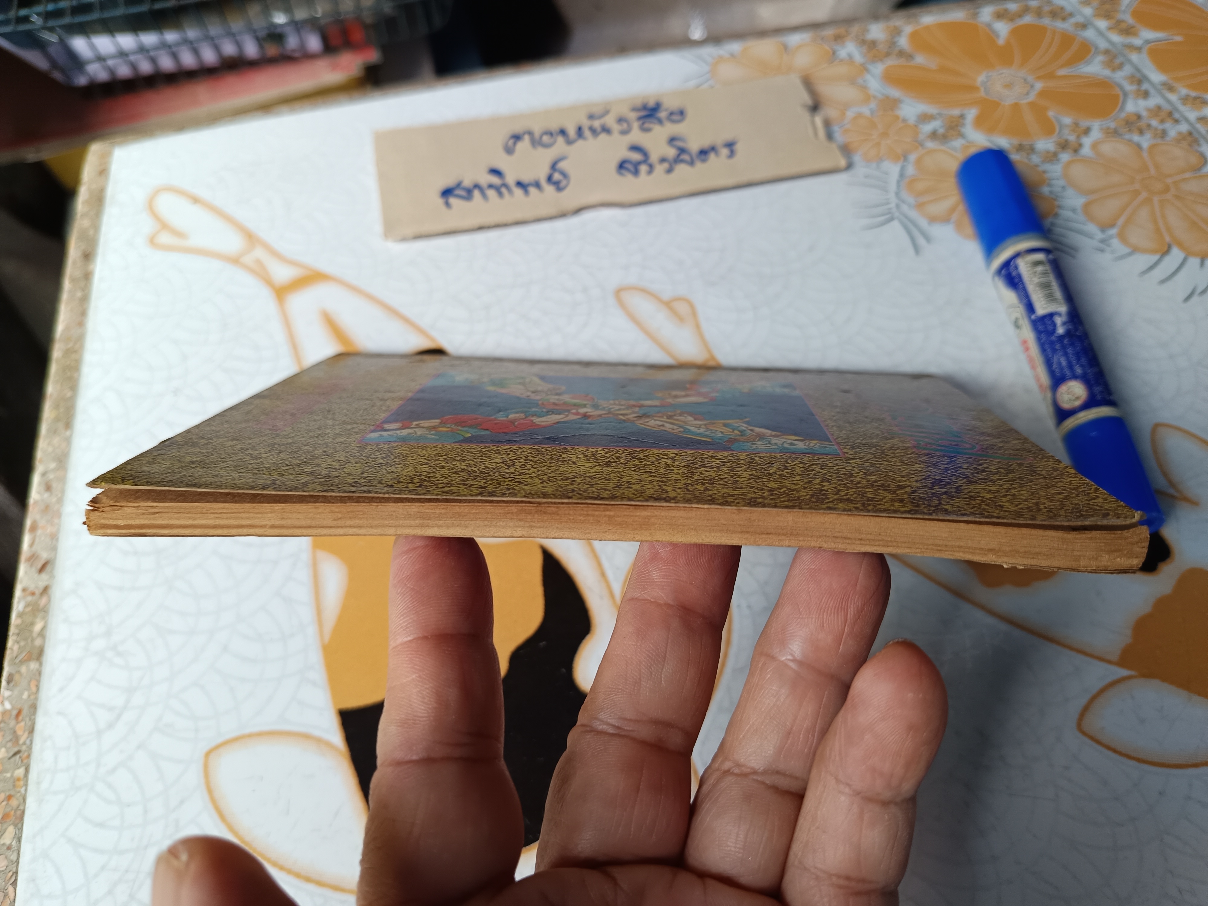 เศษการ์ตูน Saint Seiya เซนตเซยา เทพบุตรดาวหาง , มิตรไมตรี (เล่มบาง) ชุดที่ 2/9