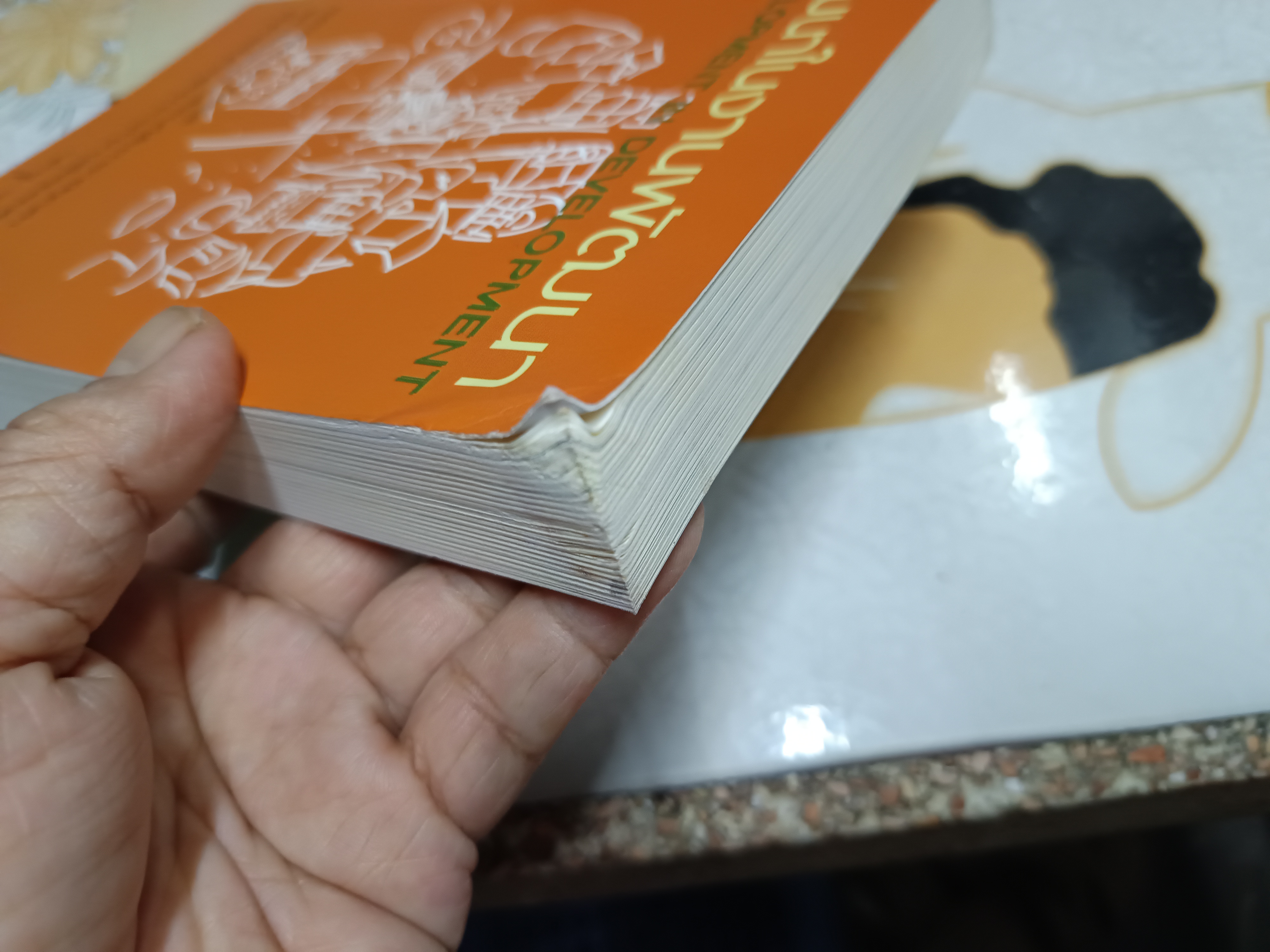 พัฒนาในงานพัฒนา พร้อมบุญ พานิชภักดิ์ เขียน มูลนิธิรักษ์ไทย พิมพ์ครั้งที่ 2/2552 (1,000 เล่ม)