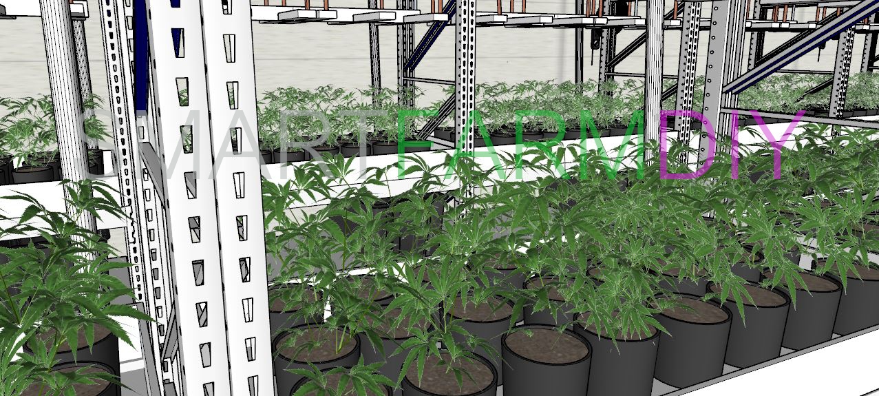 Indoor Cannabis/Hemp Farm ขนาดกลาง -ใหญ่