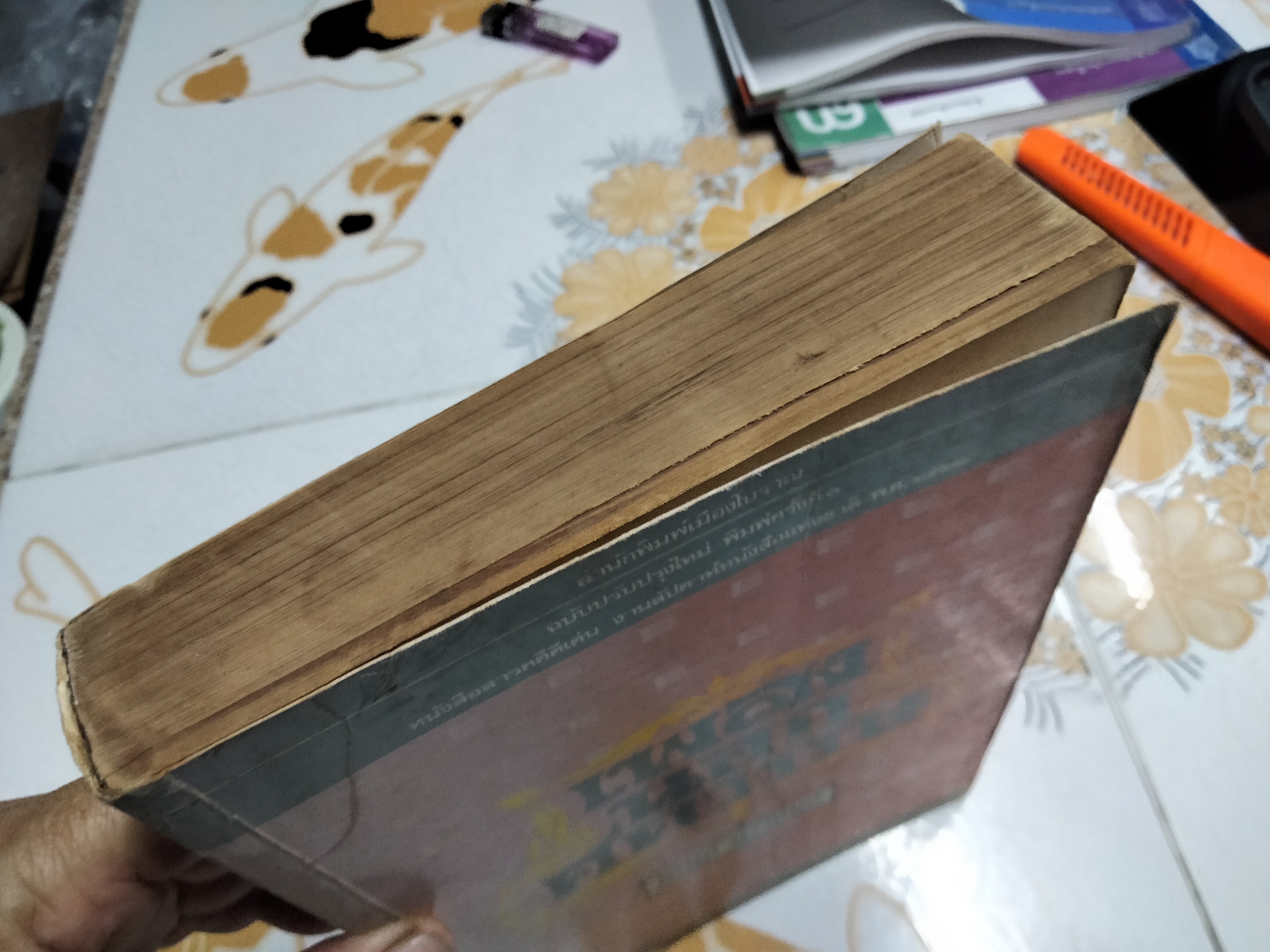 เพลงนอกศตวรรษ โดย เอนก นาวิกมูล