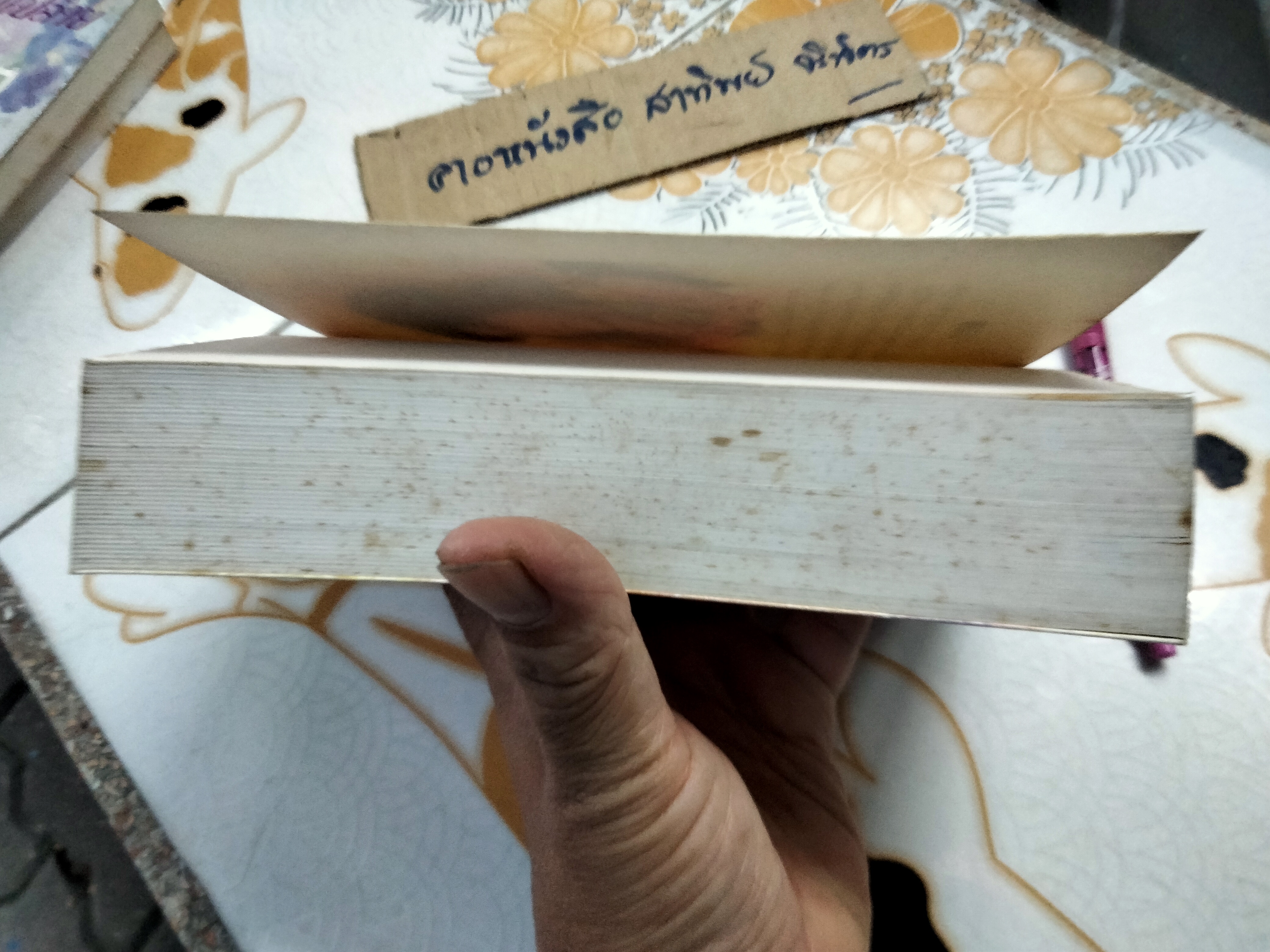 ทรายสีเพลิง (เล่มเดียวจบ) ปิยะพร ศักดิ์เกษม ,หนังสือมีคราบน้ำ **สินค้าหมด**