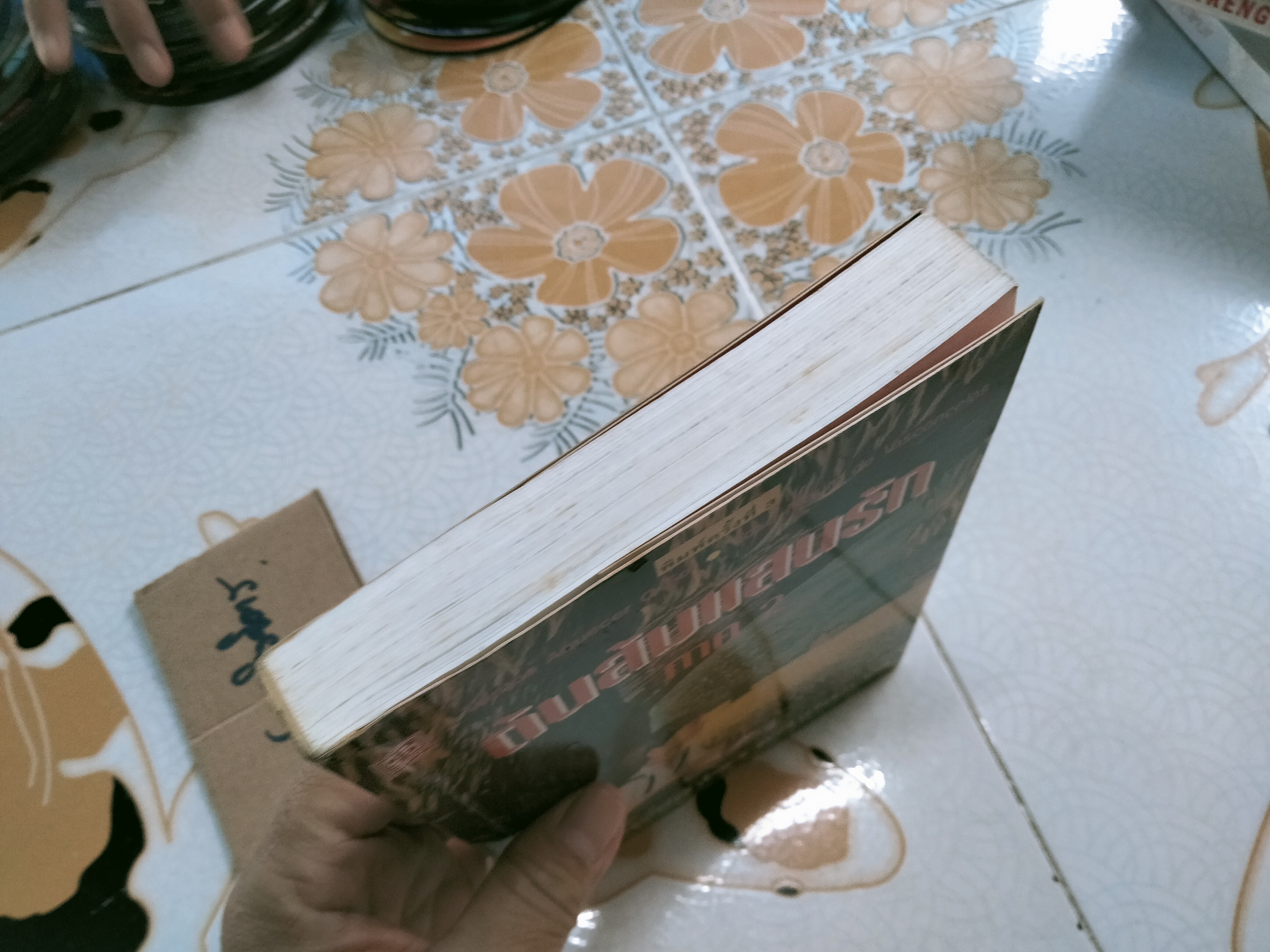 ต้นส้มแสนรัก ภาค 2 - Jose Vasconcelos (โจเซ่ วาสคอนเซลอส), สมบัติ เครือทอง แปล **สินค้าหมด**