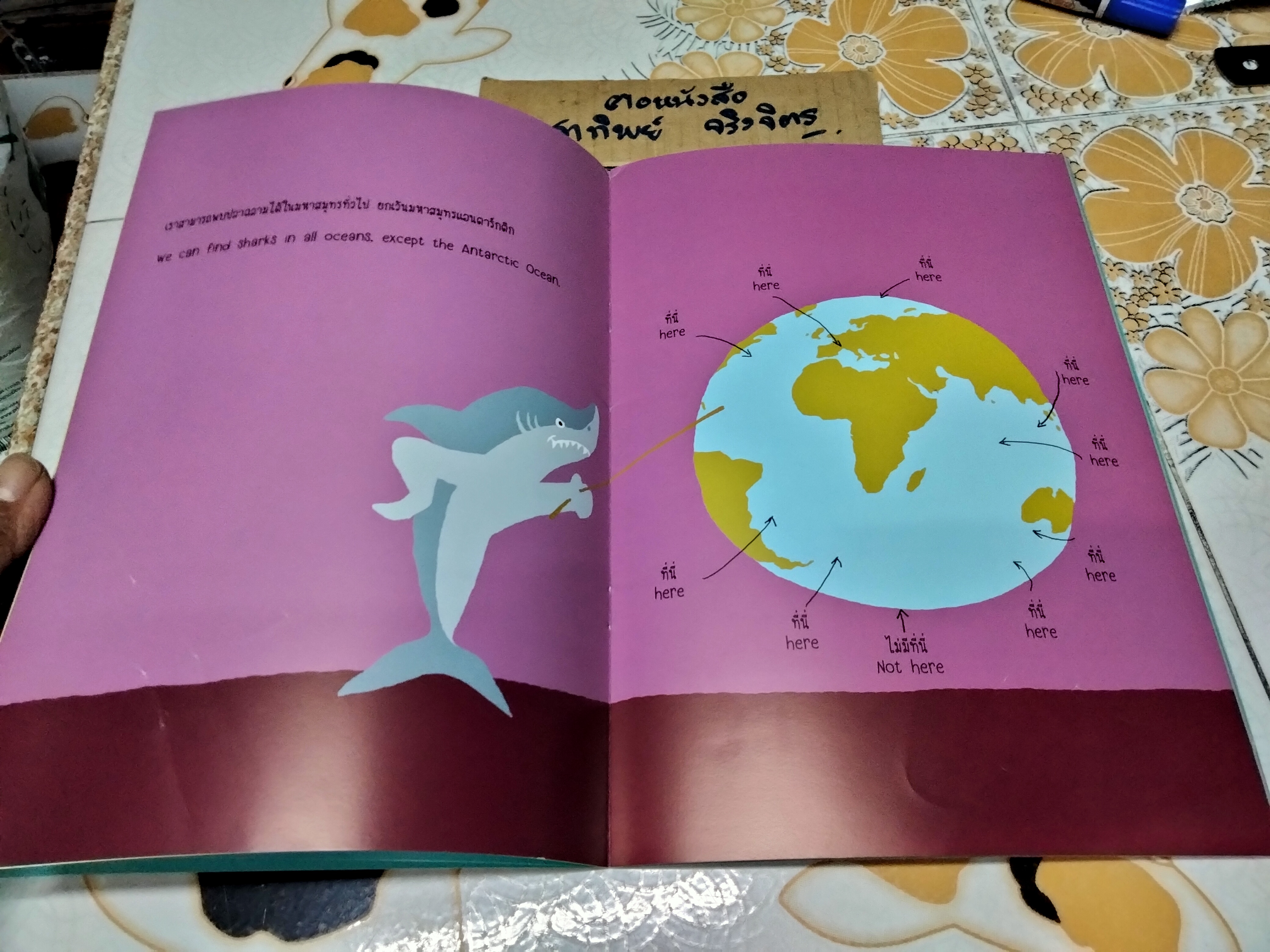 ปลาฉลาม (Sharks) หนังสือสองภาษา ไทย-อังกฤษ ผู้แต่ง ทัตสุ นากาตะ **สินค้าหมด**