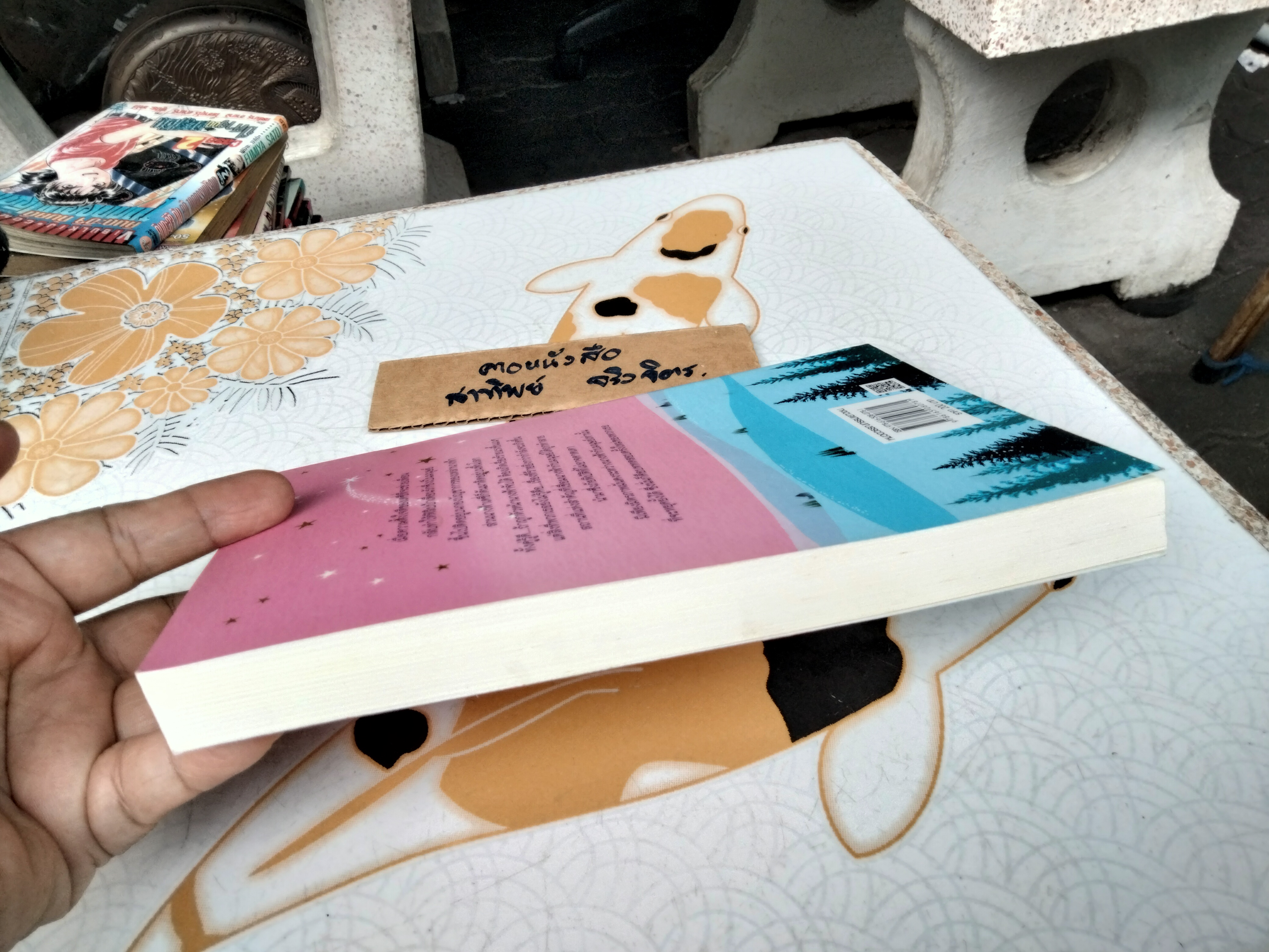 ฟิลิปป้า ฟิชเชอร์ กับสัญญาแห่งนางฟ้า Philippa Fisher and the Stone Fairy's Promise ผู้เขียน Liz Kessler (ลิซ เคสส์เลอร์)