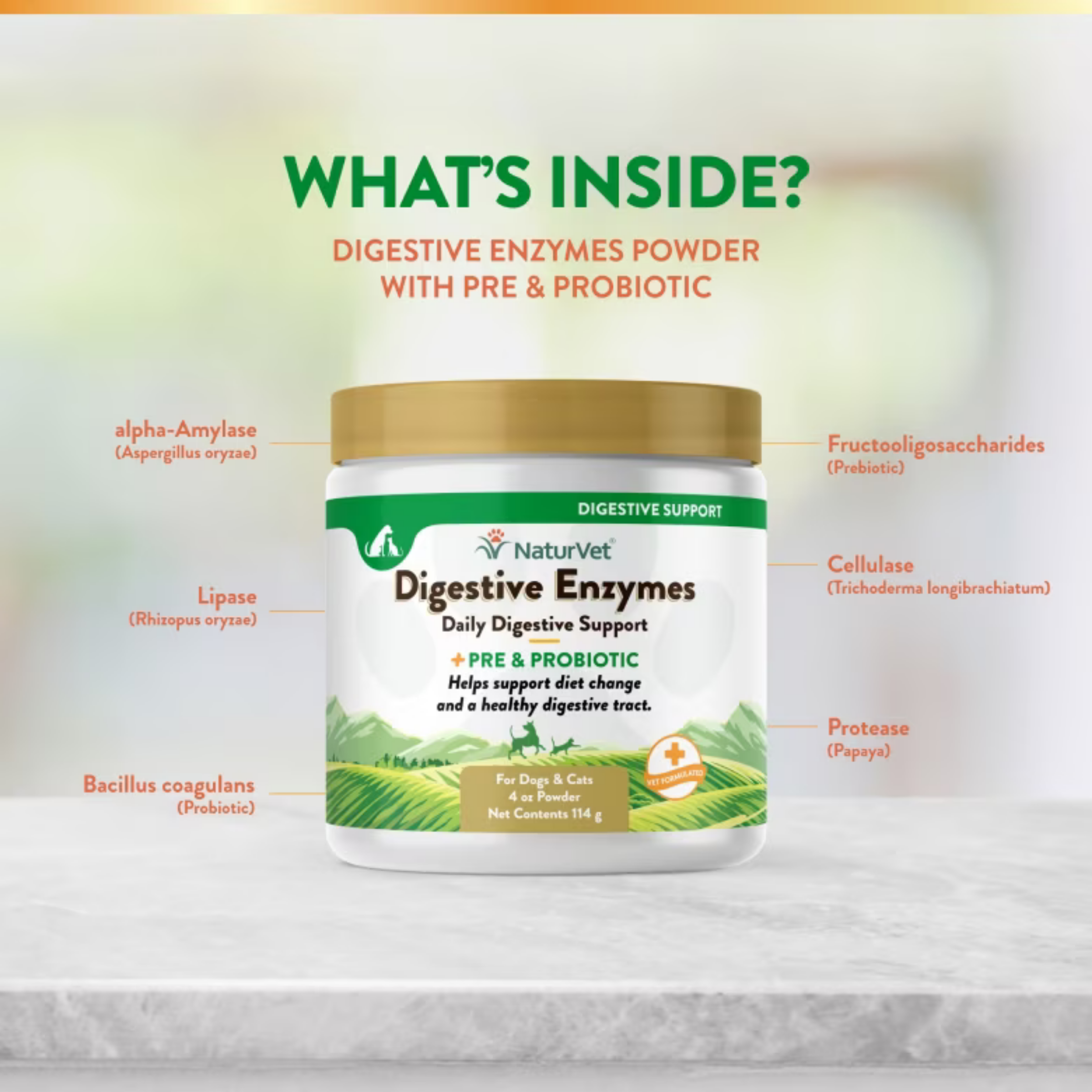 NaturVet® Digestive Enzymes + Pre & Probiotic for Dogs & Cats 114 g สำหรับสุนัขและแมว แบบผง