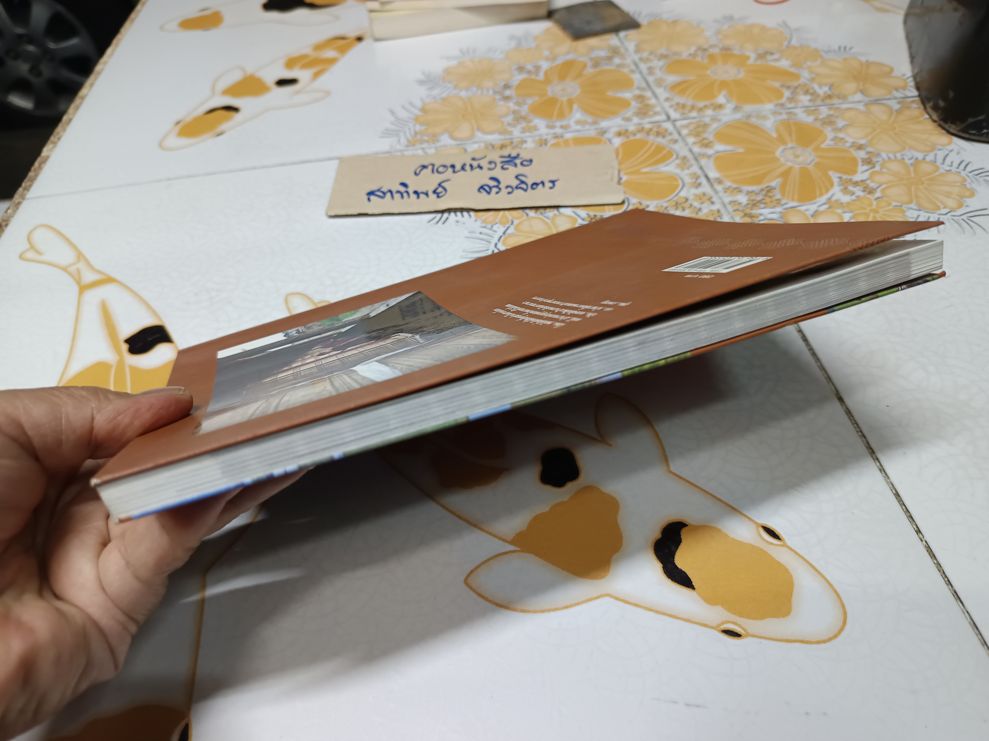 ทิเบตในฝัน อัศจรรย์เหนือหลังคาโลก นพ. พันธ์ศักดิ์ ศุกระฤกษ์ เขียน ไพศาล เจริญจรัสกุล ภาพ