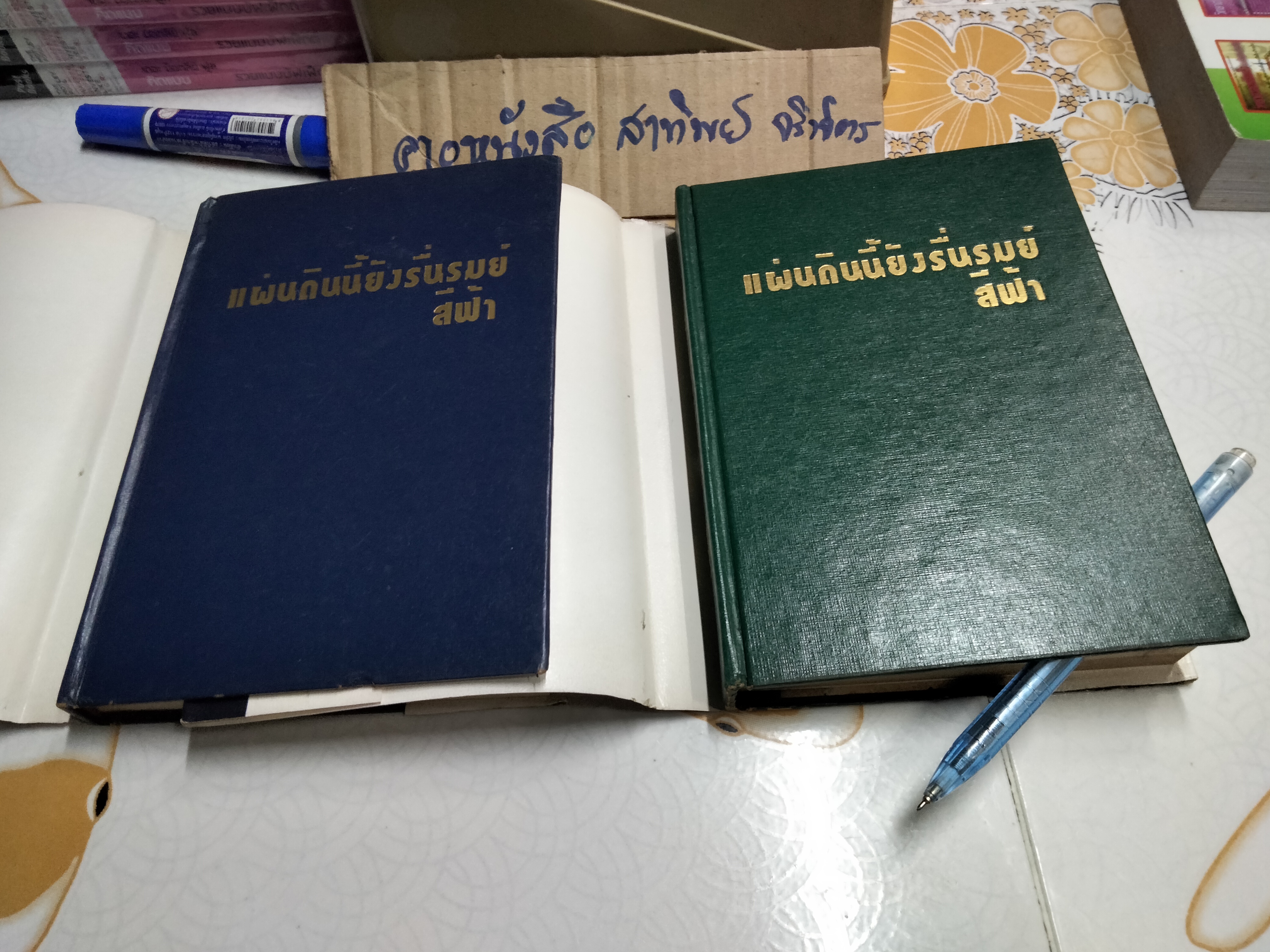 แผ่นดินนี้ยังรื่นรมย์ (2 เล่มจบ) - สีฟ้า **สินค้าหมด**