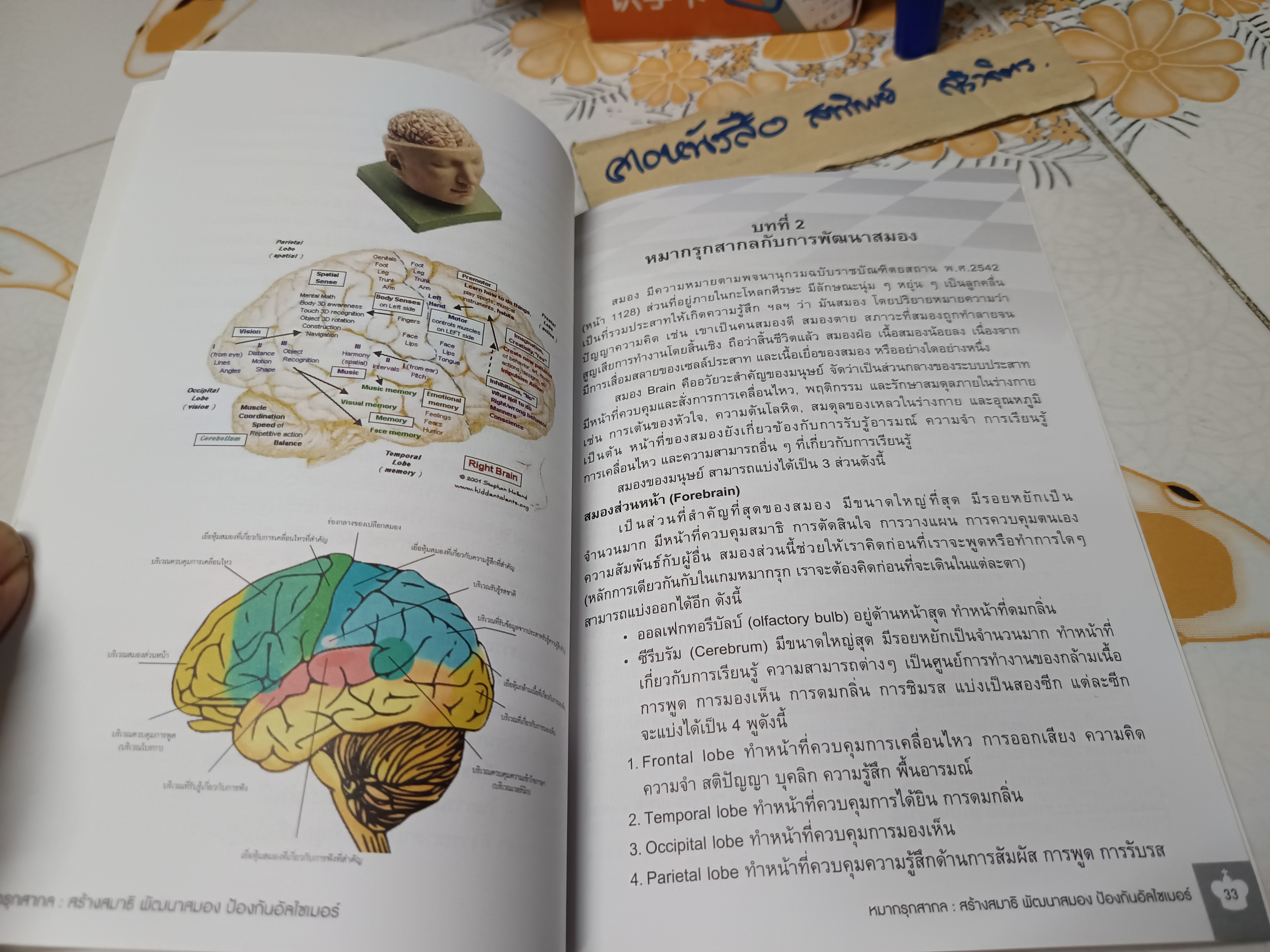 หนังสือ หมากรุกสากล : ฉบับสร้างสมาธิ พัฒนาสมอง ป้องกันอัลไซเมอร์ โดย รัชพล ธนโรจน์รุ่ง **สินค้าหมด**