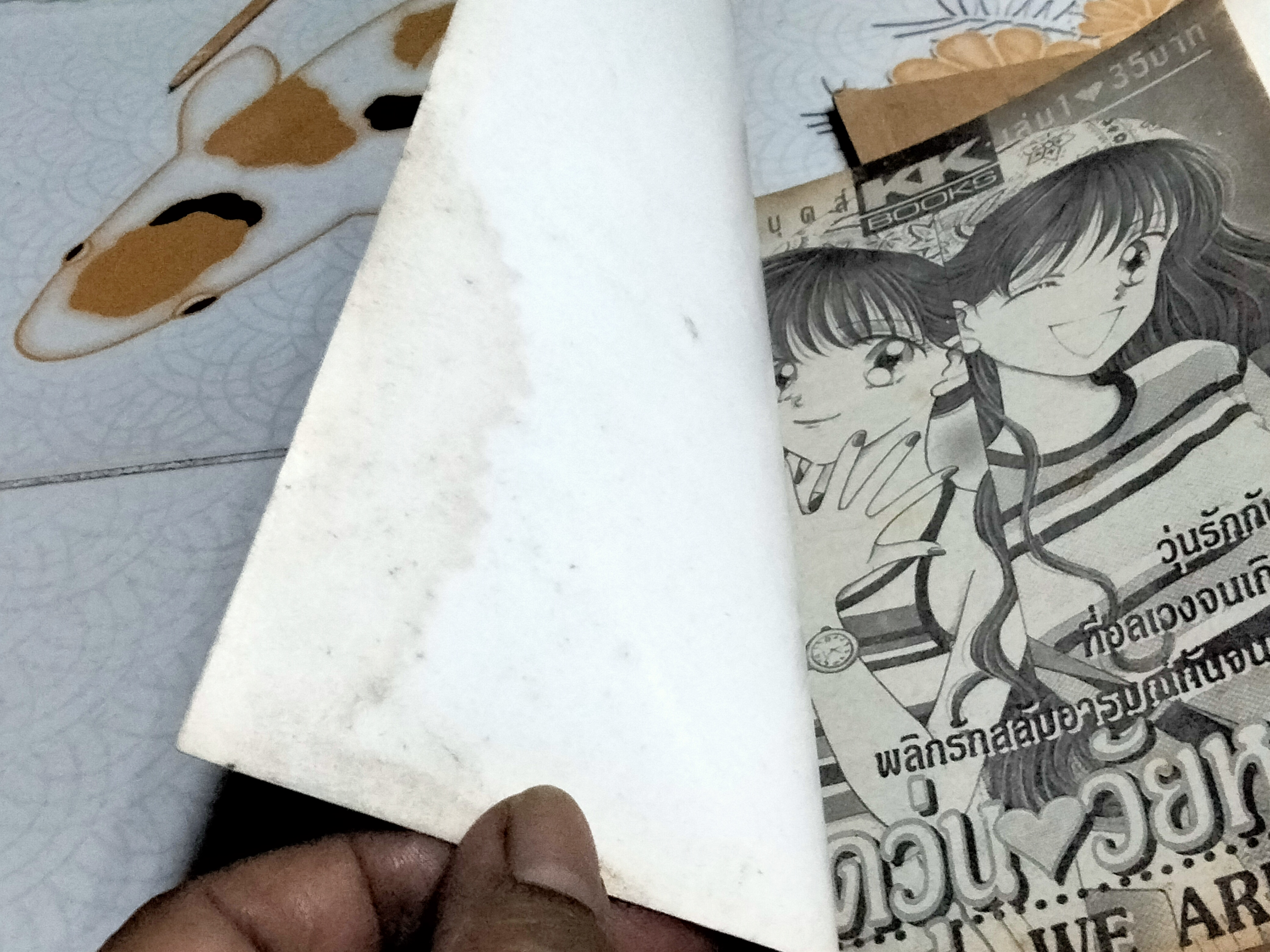 แฝดวุ่นวัยหวาน (4 เล่มจบ)