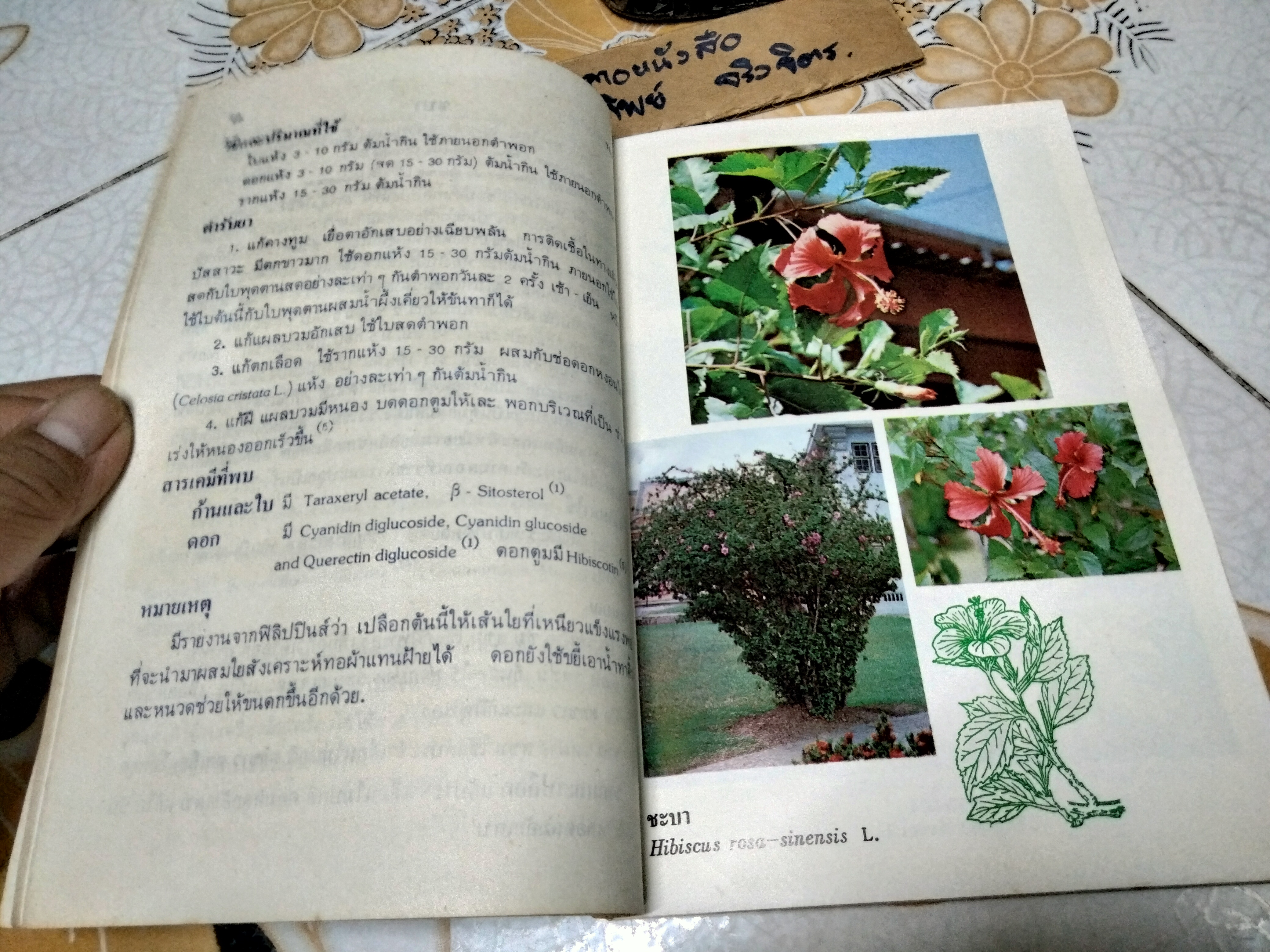 หนังสือ การใช้สมุนไพรเล่ม 1 โครงการพัฒนาเทคนิคการทำยาสมุนไพร ฉบับแก้ไข พ.ศ.2522