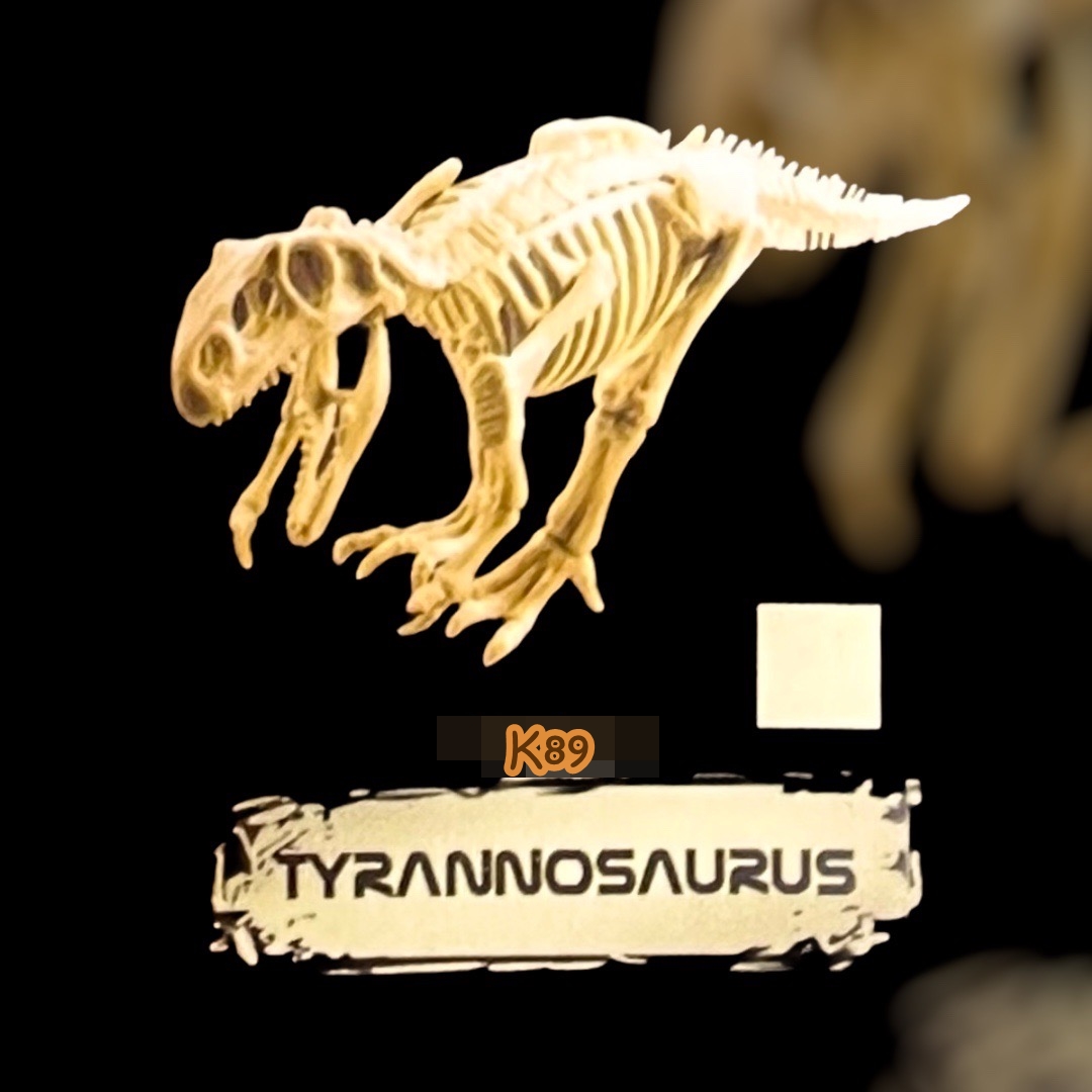 ชุดขุดฟอสซิลไดโนเสาร์