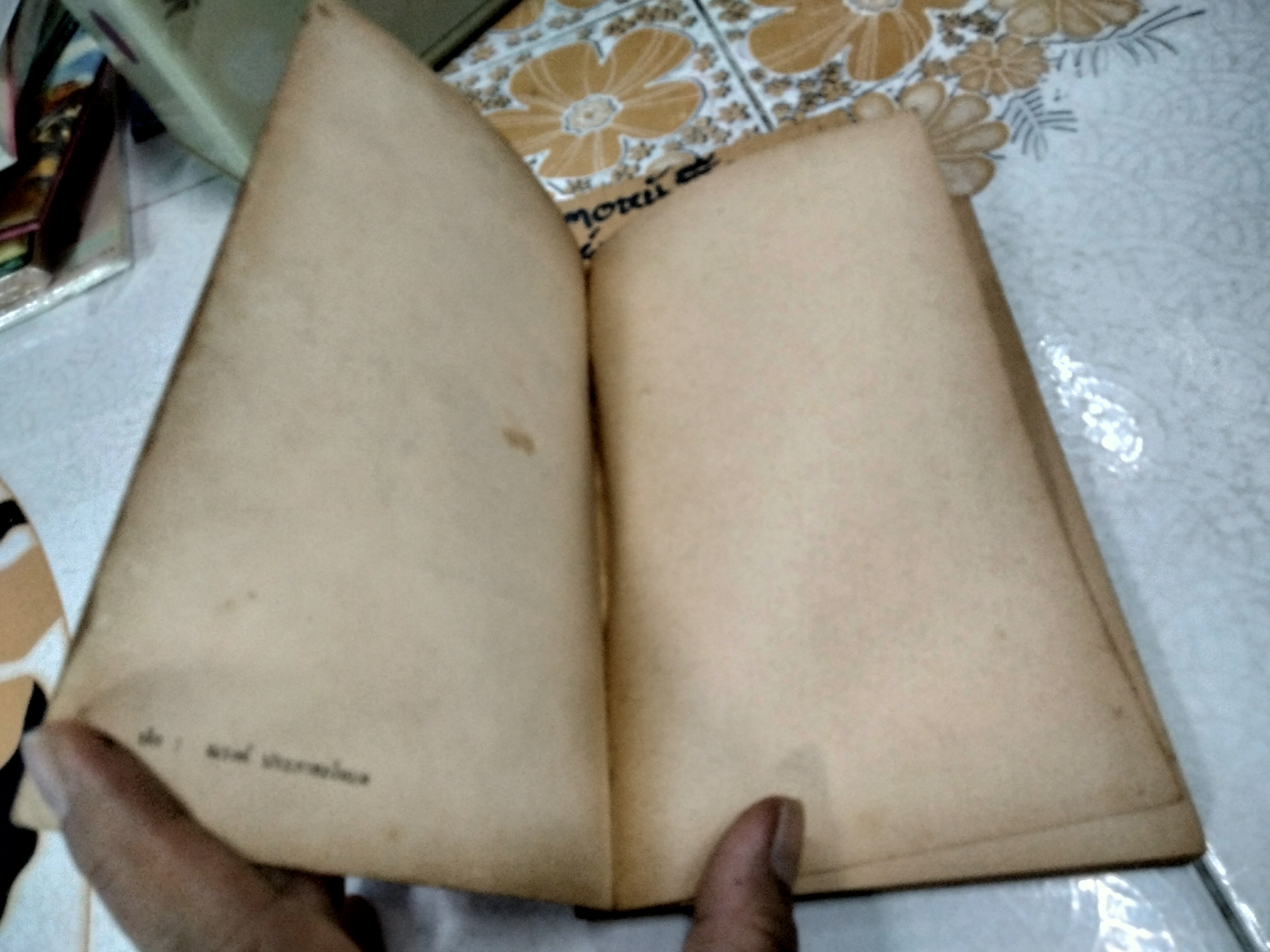 เจ้าด่าง - หนังสืออ่านสำหรับเยาวชนตามโครงการหนังสือเด็กของกองบรรณาธิการชัยพฤกษ์ ชุดที่ 6 อันดับ 1 พ.ศ 2520