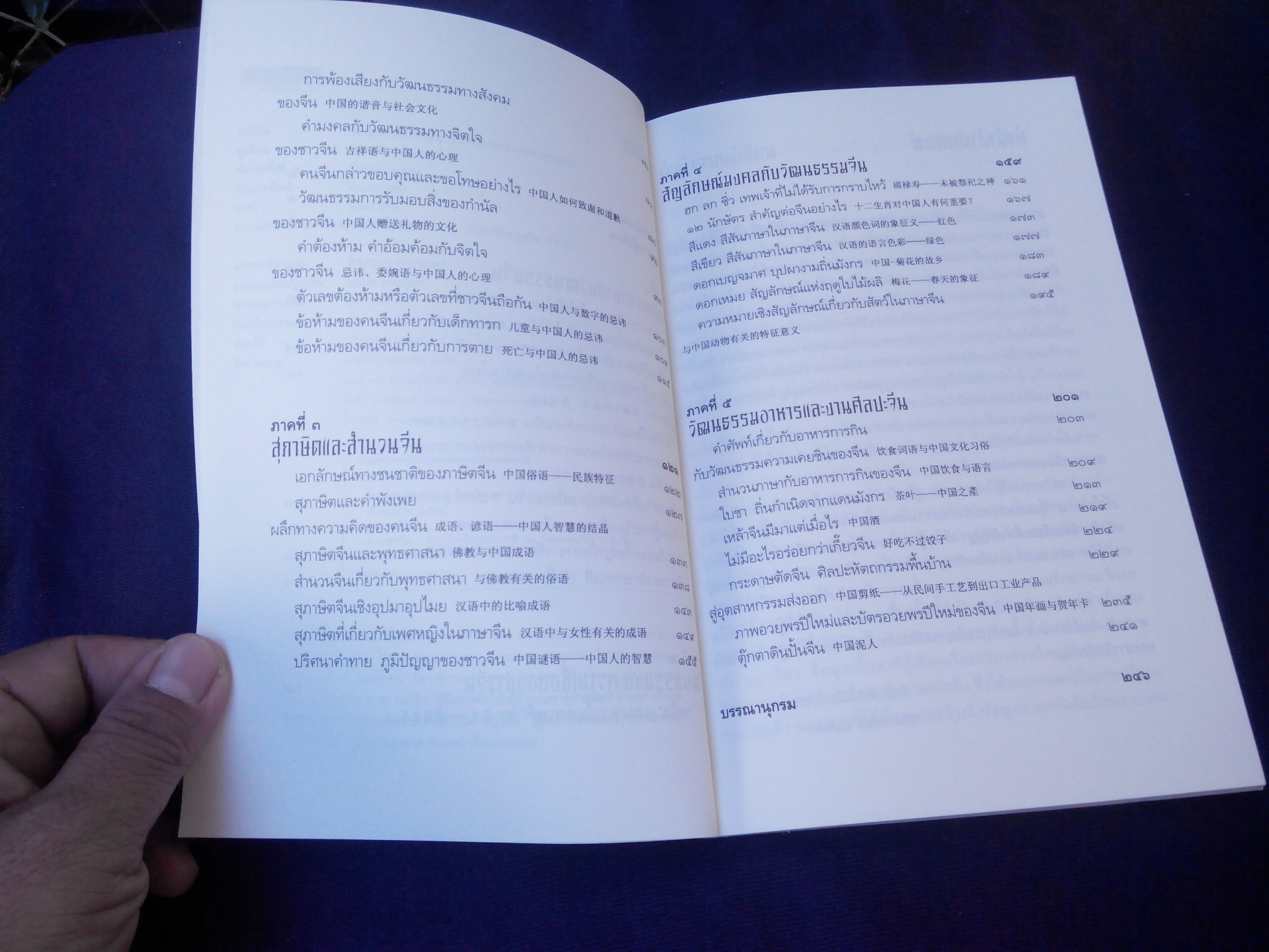 ร้อยเรียงเคียงปัญญา เรียนรู้ภาษาจากวัฒนธรรมจีน - ดร.นริศ วศินานนท์ **สินค้าหมด**