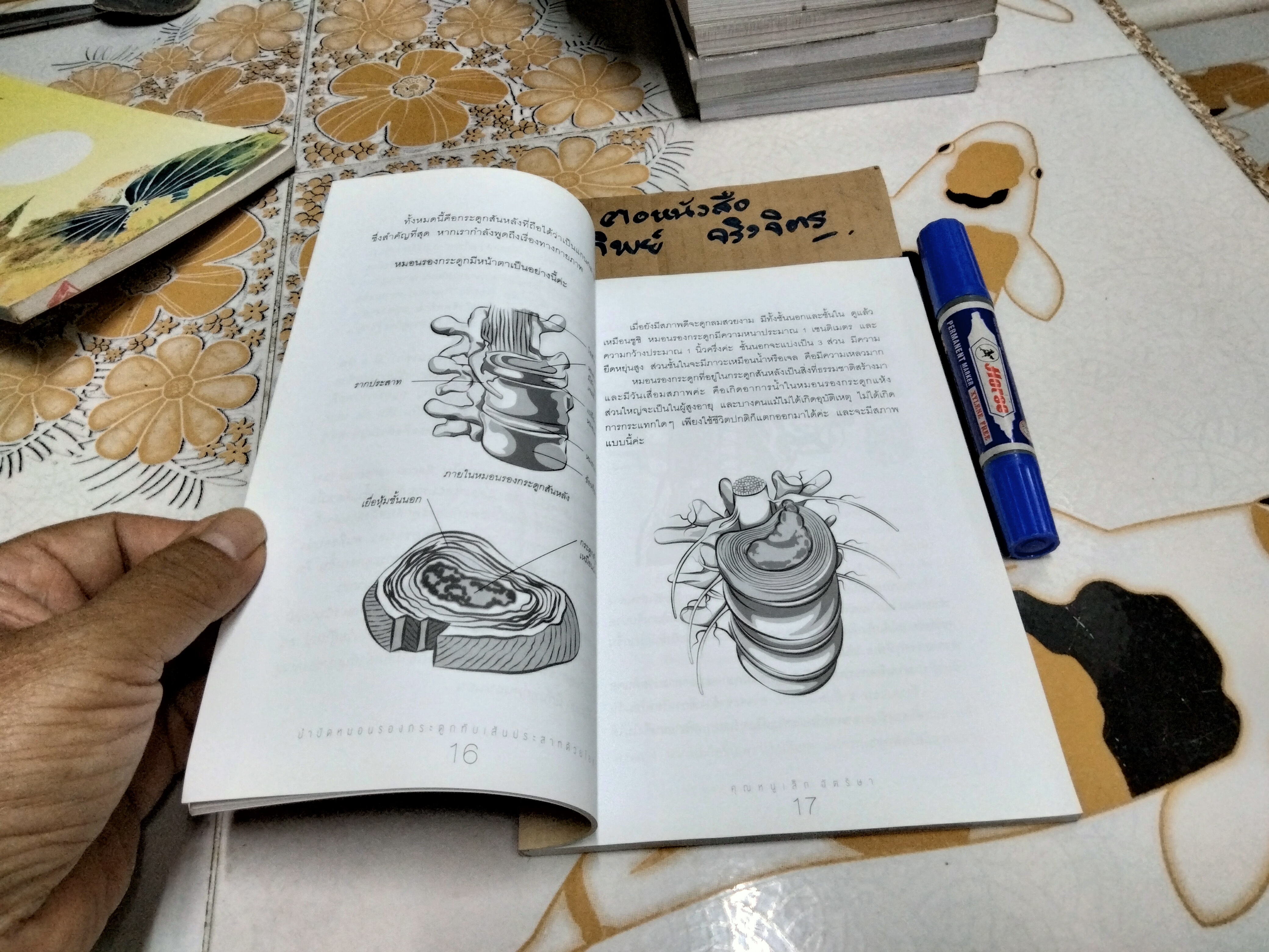 บำบัดหมอนรองกระดูกทับเส้นประสาทด้วยโยคะ โดย ฉัตริษา ศรีสานติวงศ์ (คุณหนูเล็ก ฉัตริษา) พิมพ์ครั้งที่ 2/2557 **สินค้าหมด**