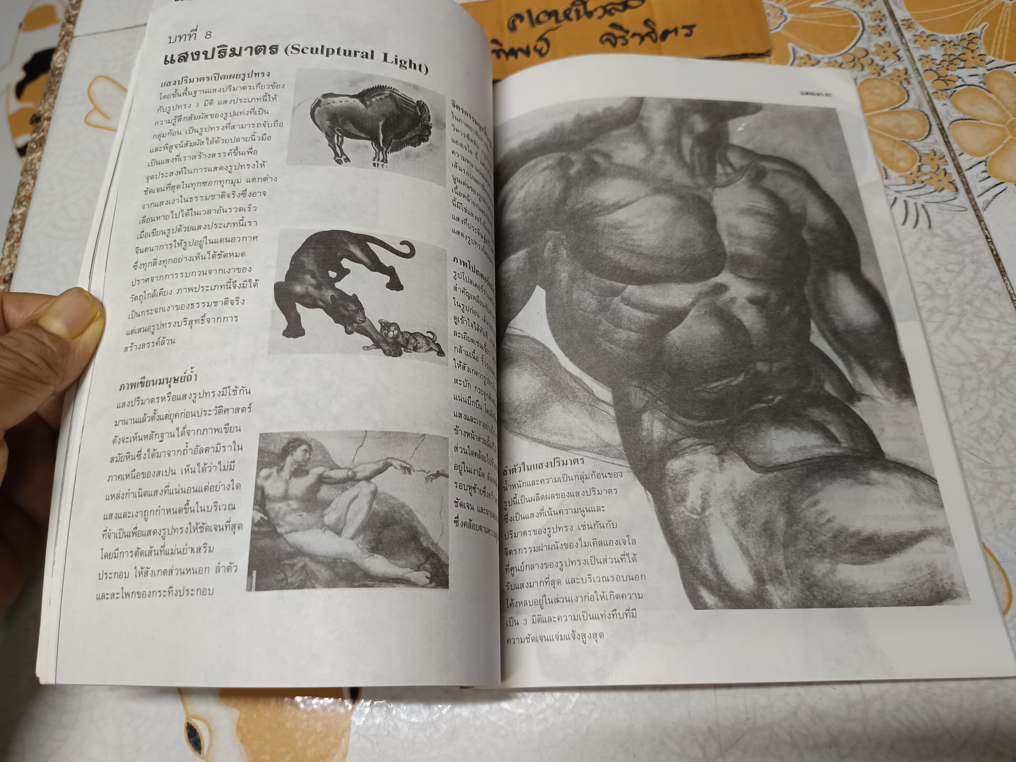 แสงเงา : เนื้อหาและการสร้างสรรค์ แปลจาก Dynamic Light and Shade ของเบอร์น โฮการ์ธ โดย นิวิต หะนนท์ พิมพ์ครั้งแรกพ.ศ 2530