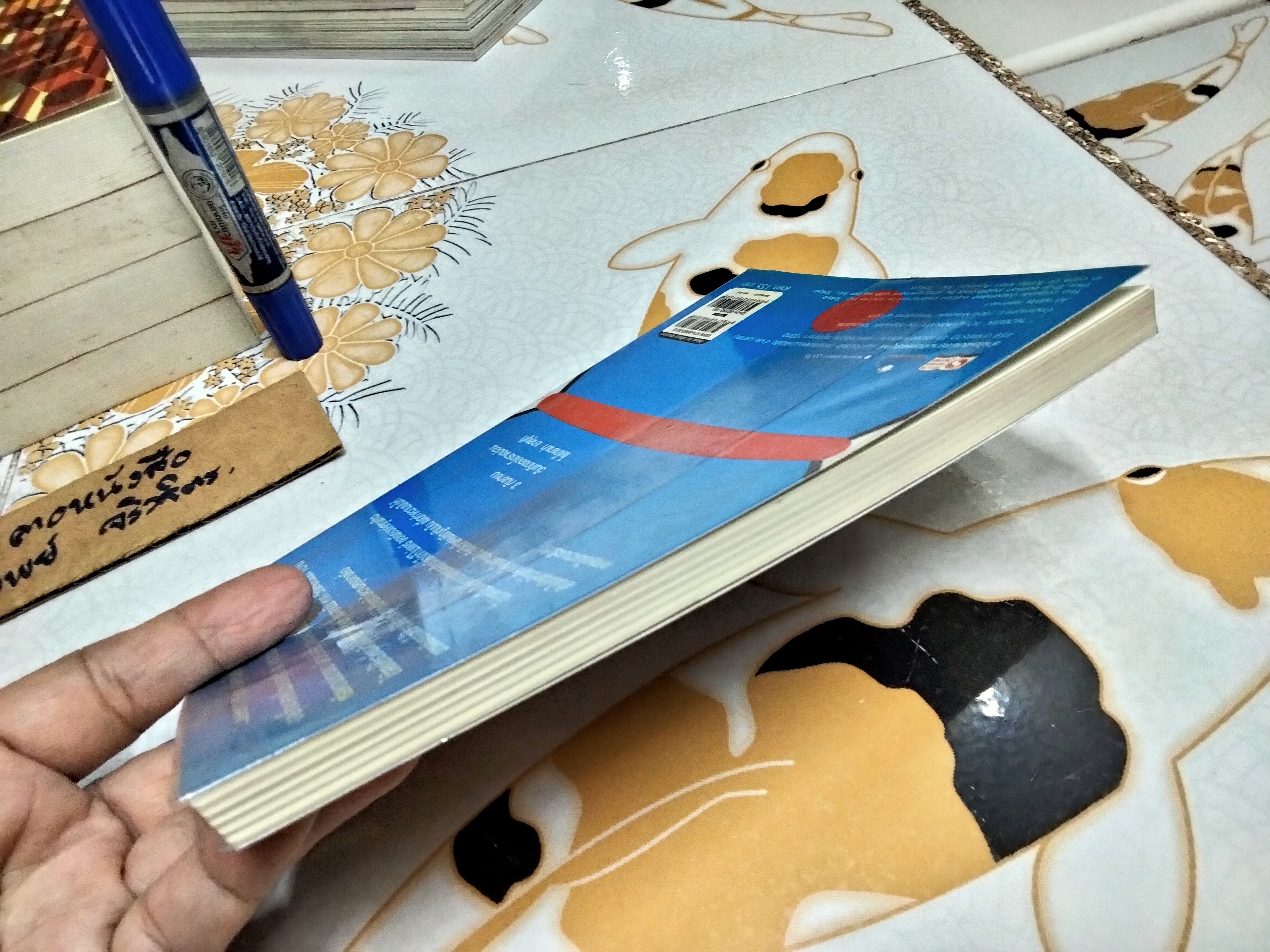 วิถีแห่งโนบิตะ ชัยชนะของคนไม่เอาถ่าน โยโกยาม่า ยาสุยุกิ เขียน ศมณ สุวรรณรัตน์ แปล **สินค้าหมด**