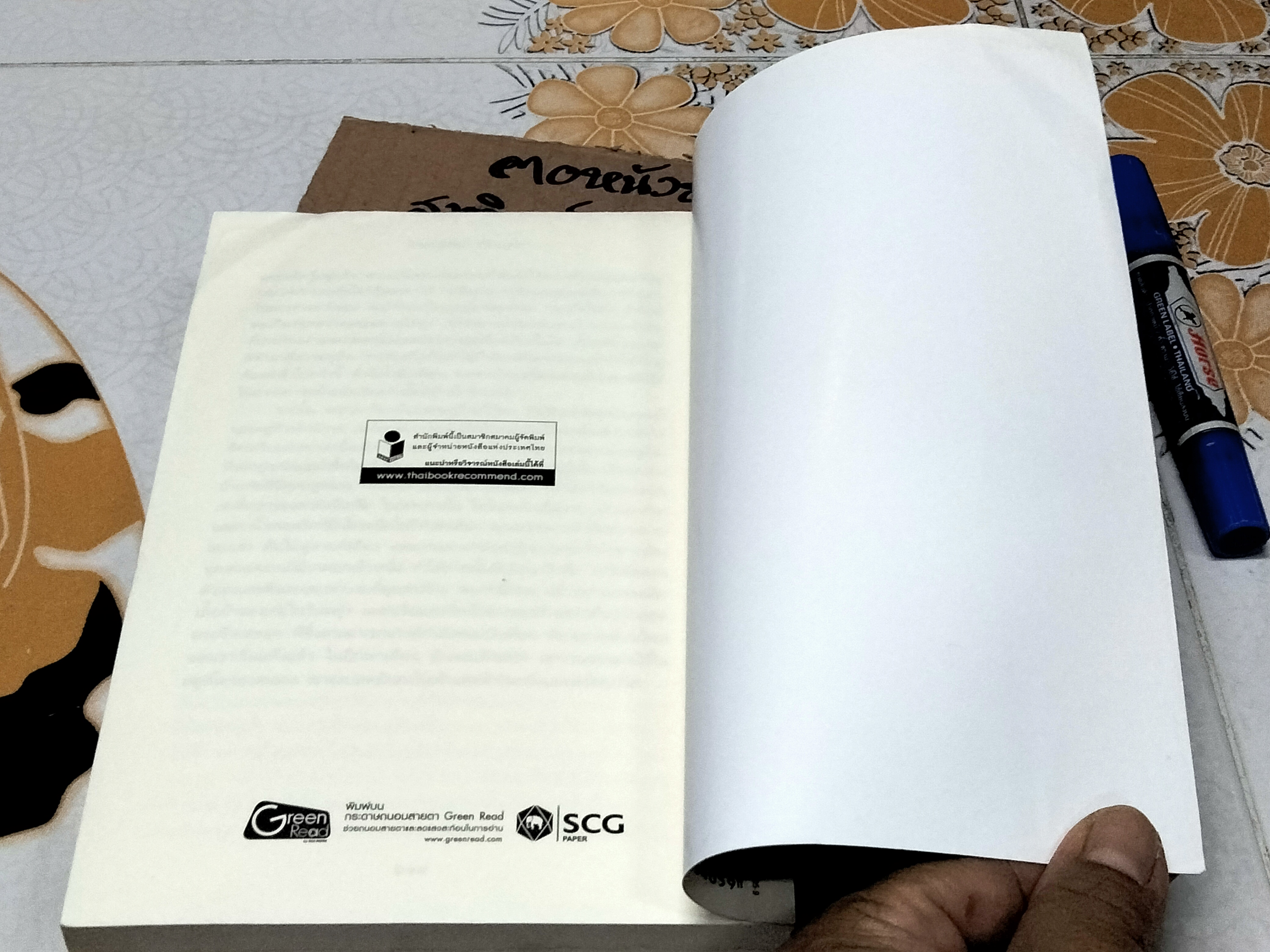 เดอะสวอนทีฟส์ ตำนานรักหลังภาพเขียน (Swan Thieves) - เอลิซาเบท คอสโตวา เขียน / ศศมาภา แปล (มีคราบน้ำ)