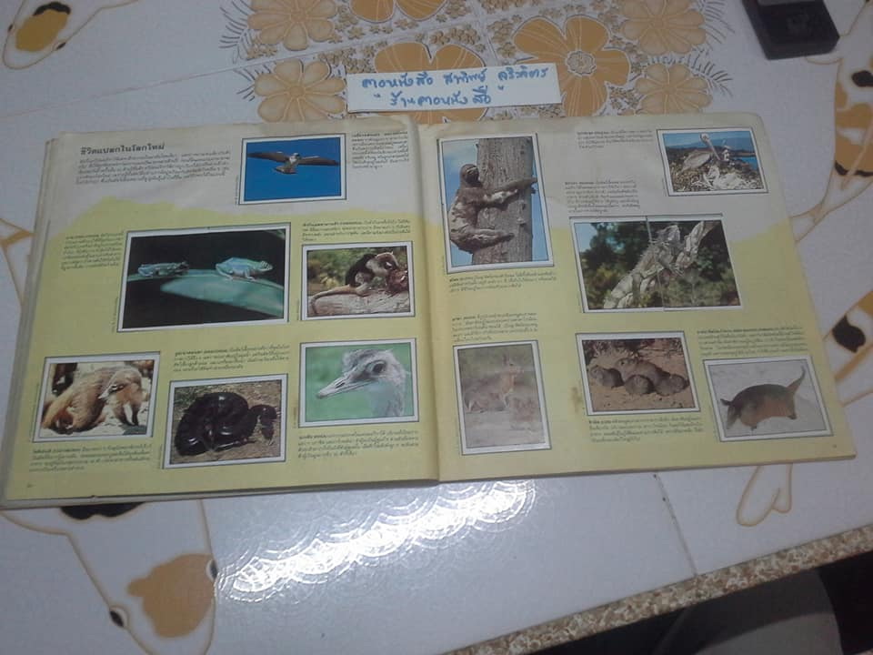 สมุดสะสมสติกเกอร์ ชีวิตสัตว์โลก - แปะครบ (ตัวเล่มมีคราบน้ำ มุมบนมีรอยยับ) **สินค้าหมด**