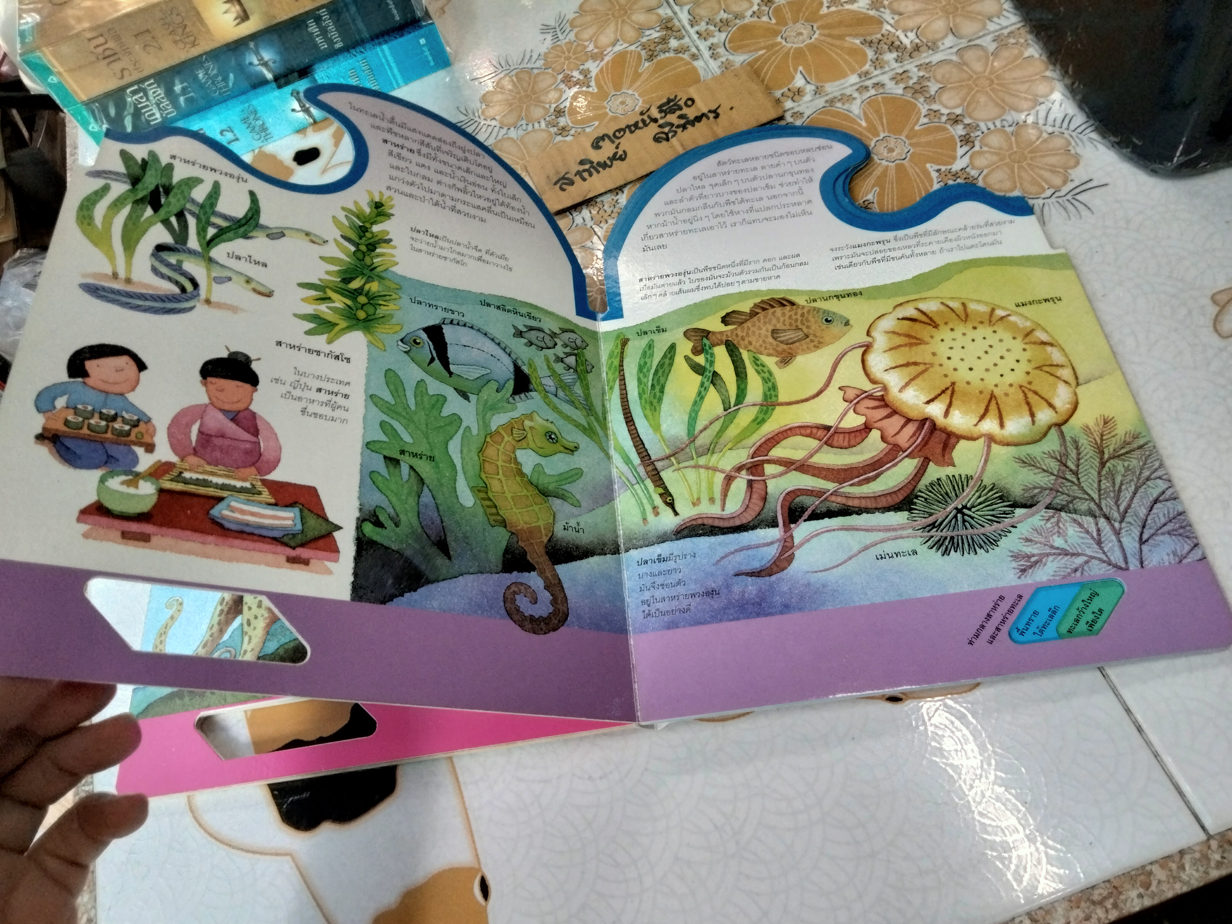 ในท้องทะเล - หนังสือชุดเรียนรู้โลกรอบตัว ชุดที่ 2 - สนพ. Happy Kids **สินค้าหมด**