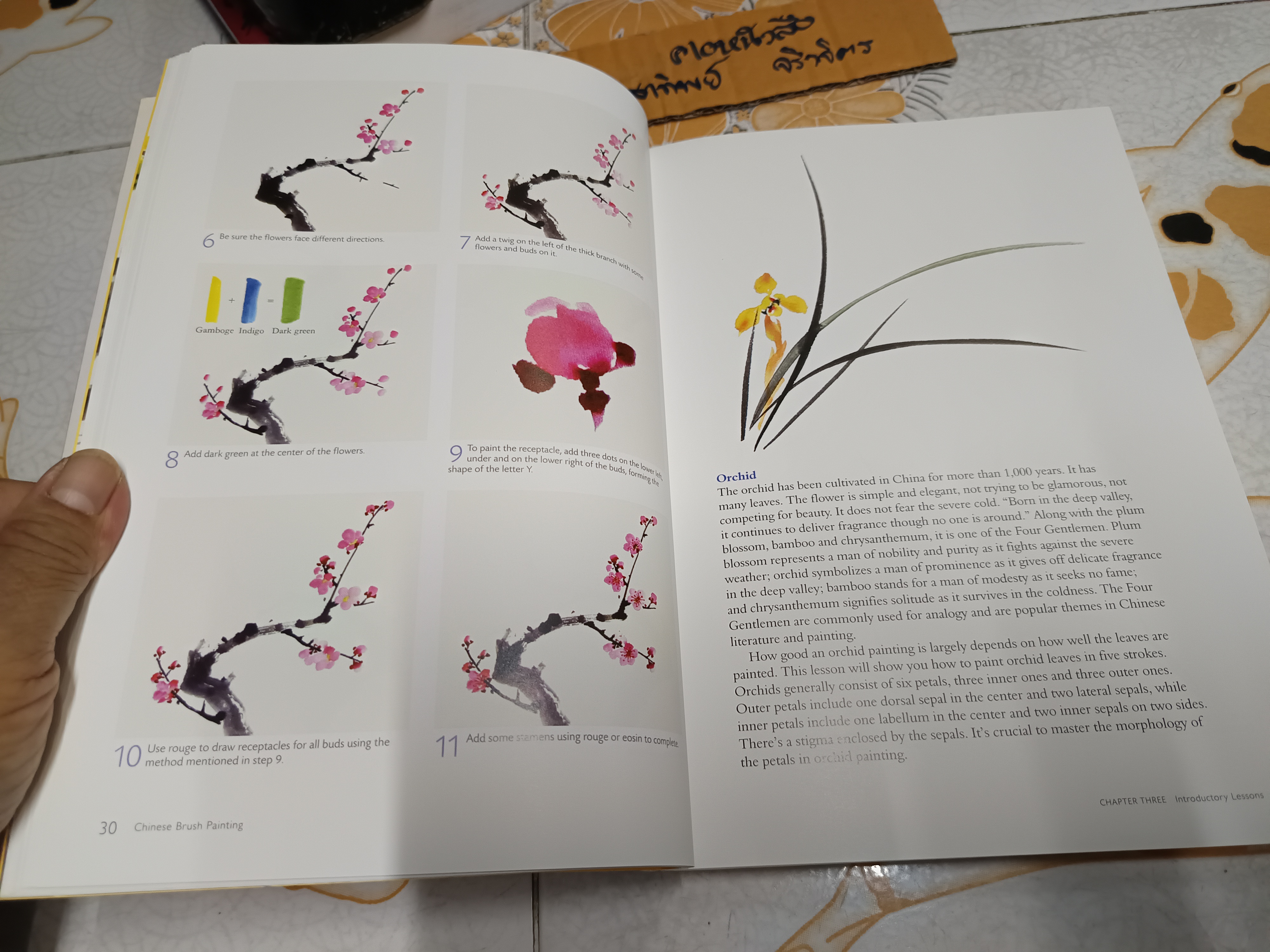 Chinese Brush Painting : A Beginner's Step-by-Step Guide by Mei Ruo