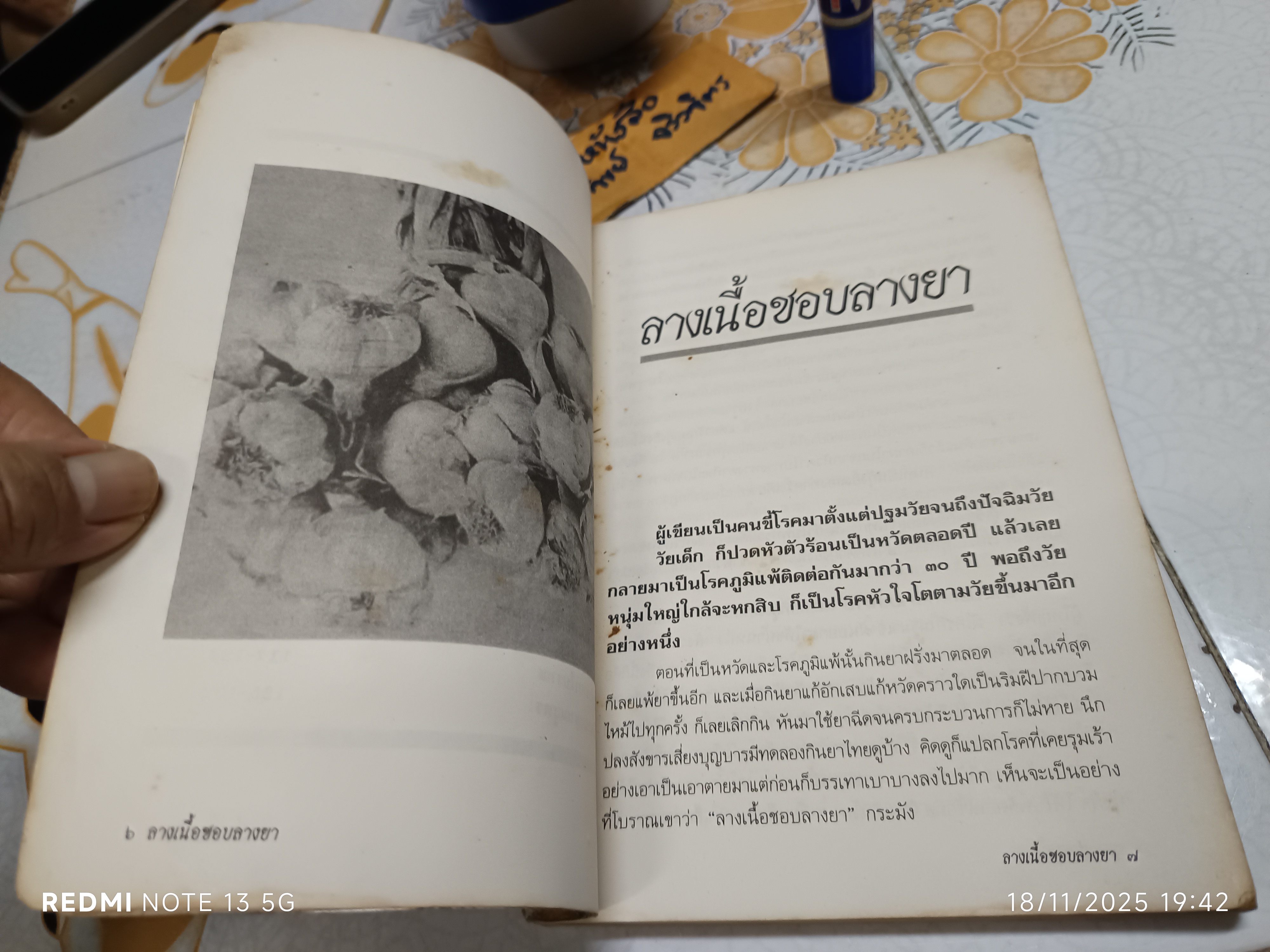 ลางเนื้อชอบลางยา โดย ส. พลายน้อย /ปกหน้าและ 2 แผ่นแรกมีรอยแหว่ง