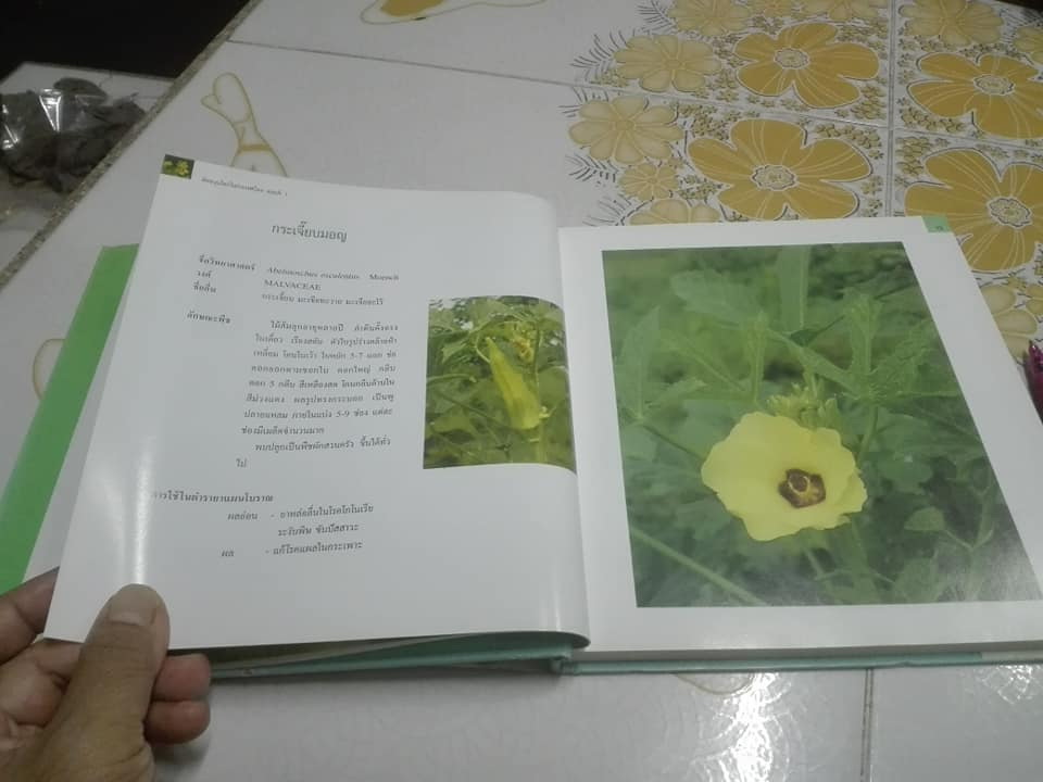 พืชสมุนไพรในประเทศไทย ตอนที่ 1 (ปกแข็ง-มีใบหุ้มปก) **สินค้าหมด**