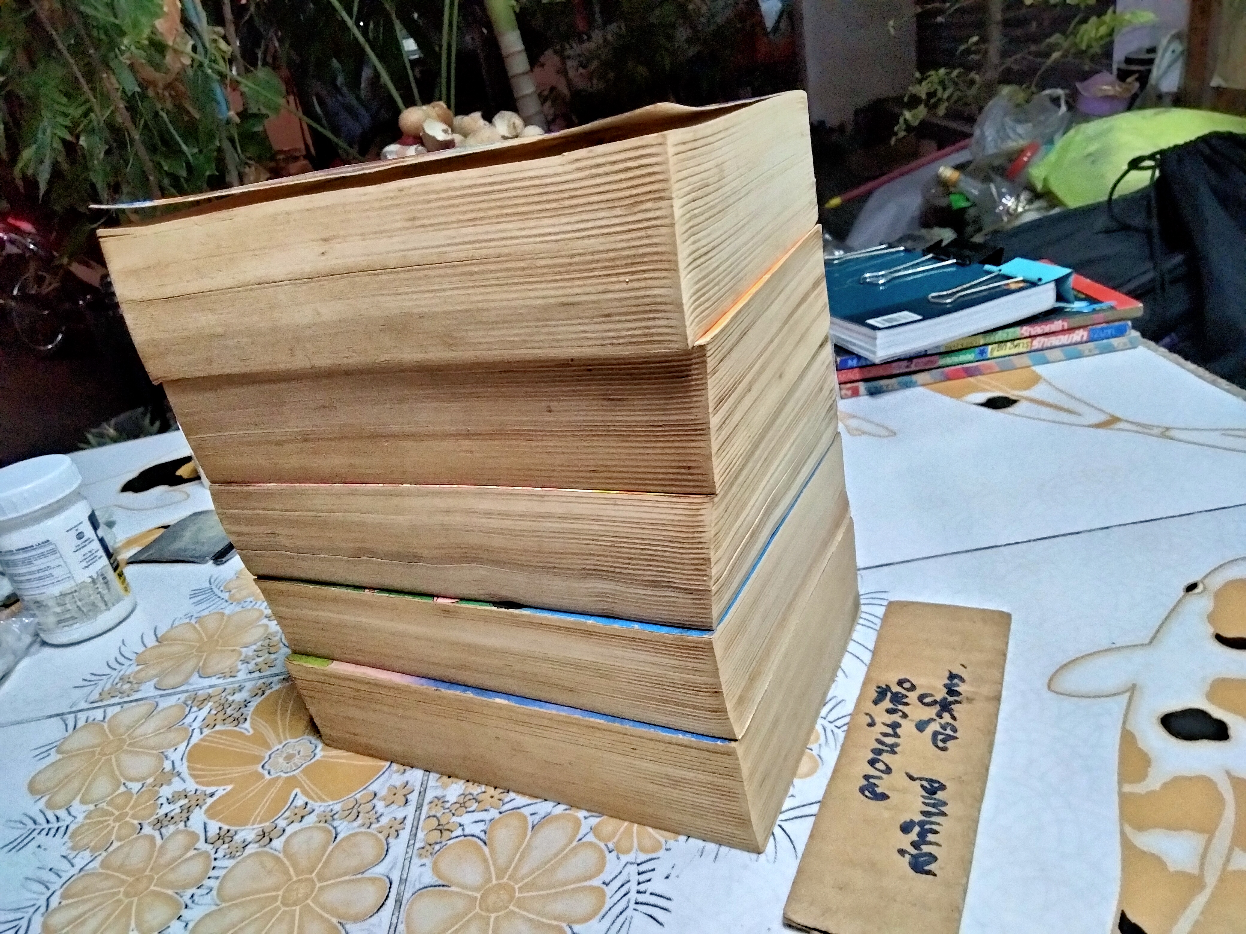 รันเซ ลูกสาวซาตาน ภาค 1 (5 เล่มจบ) ผลงานเก่าหายากชอง IKEINO KOI (ตำหนิเล่ม 3)