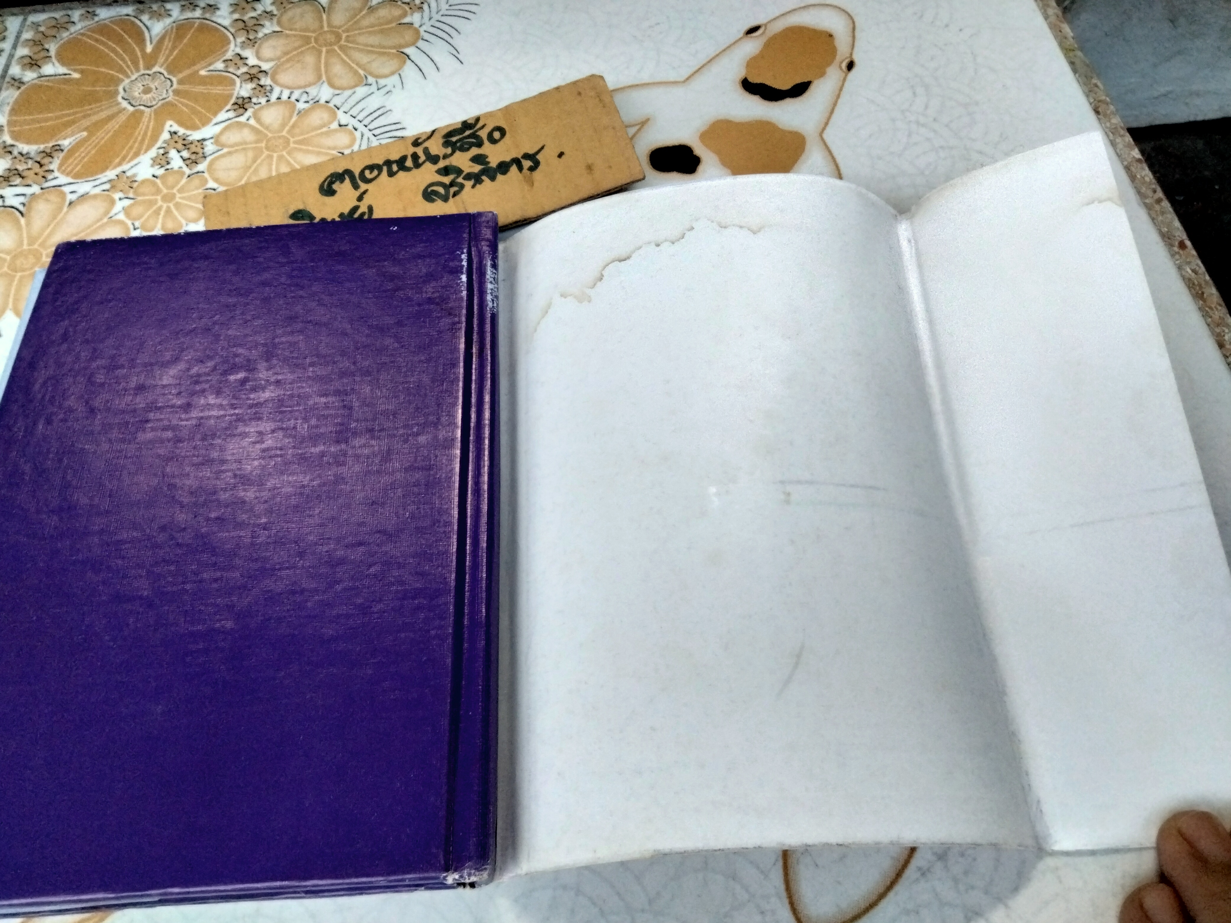 สมาคมม่าย (นิยายเล่มเดียวจบ) กนกเรขา **สินค้าหมด**