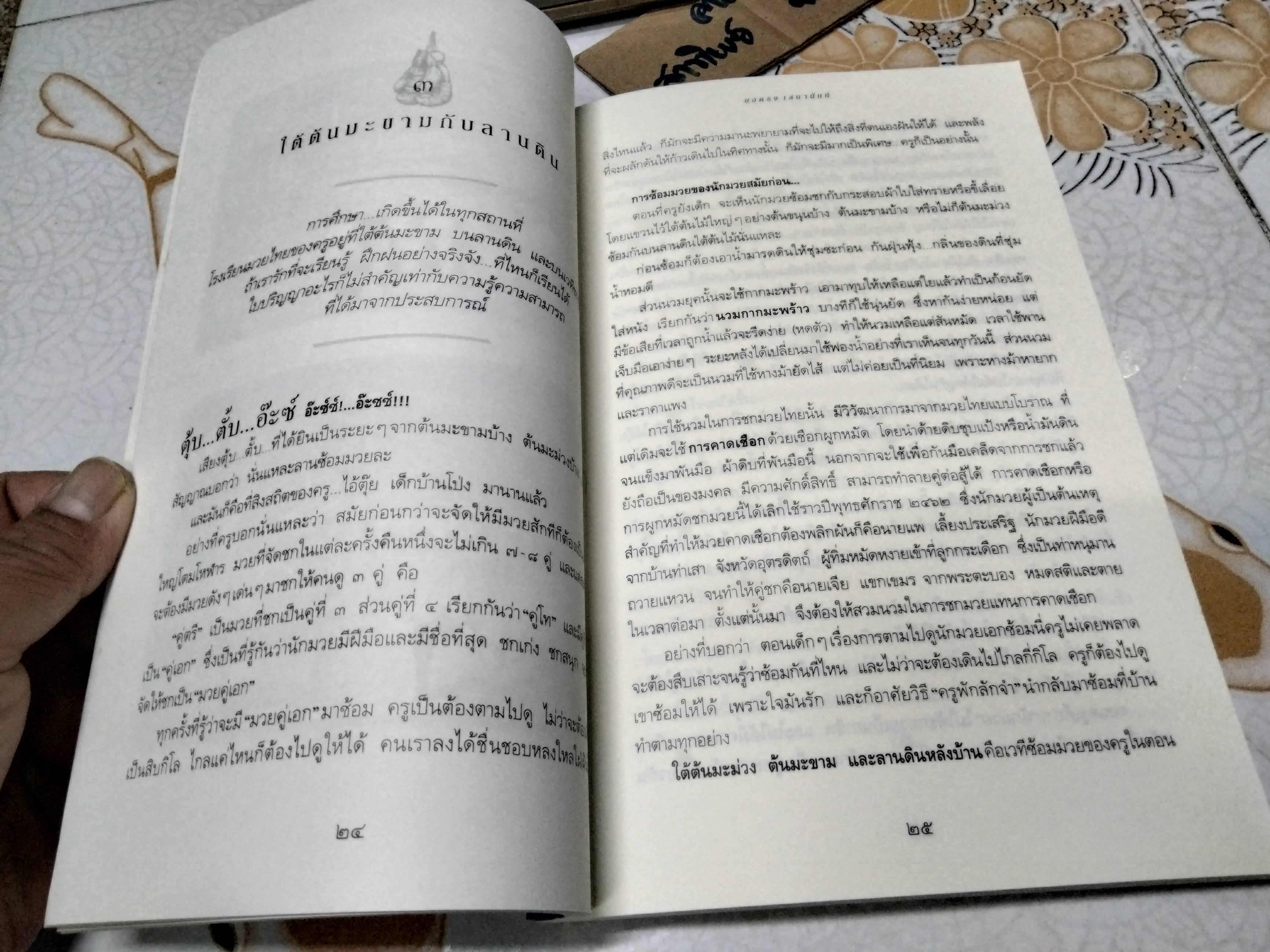 กำปั้นนอกสังเวียน - บรมครูมวยไทย ผู้ยิ่งใหญ่ของโลก : ยอดธง เสนานันท์ เรียบเรียงโดย ปลายนวม น.เขลางค์ **สินค้าหมด**