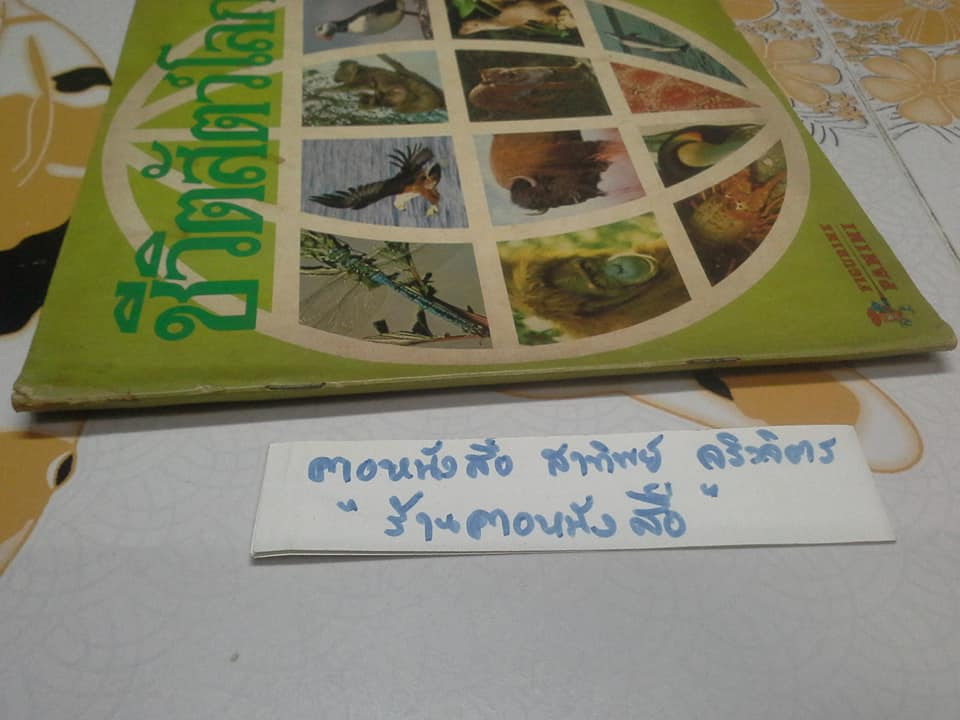 สมุดสะสมสติกเกอร์ ชีวิตสัตว์โลก - แปะครบ (ตัวเล่มมีคราบน้ำ มุมบนมีรอยยับ) **สินค้าหมด**