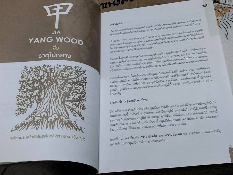 แก่นแท้ปาจื่อ 10 วันเจ้าธาตุ (THE TEN DAY MASTERS) โดย JOEY YAP , อำนวยชัย ปฏิพัทธ์เผ่าพงศ์ แปล **สินค้าหมด**